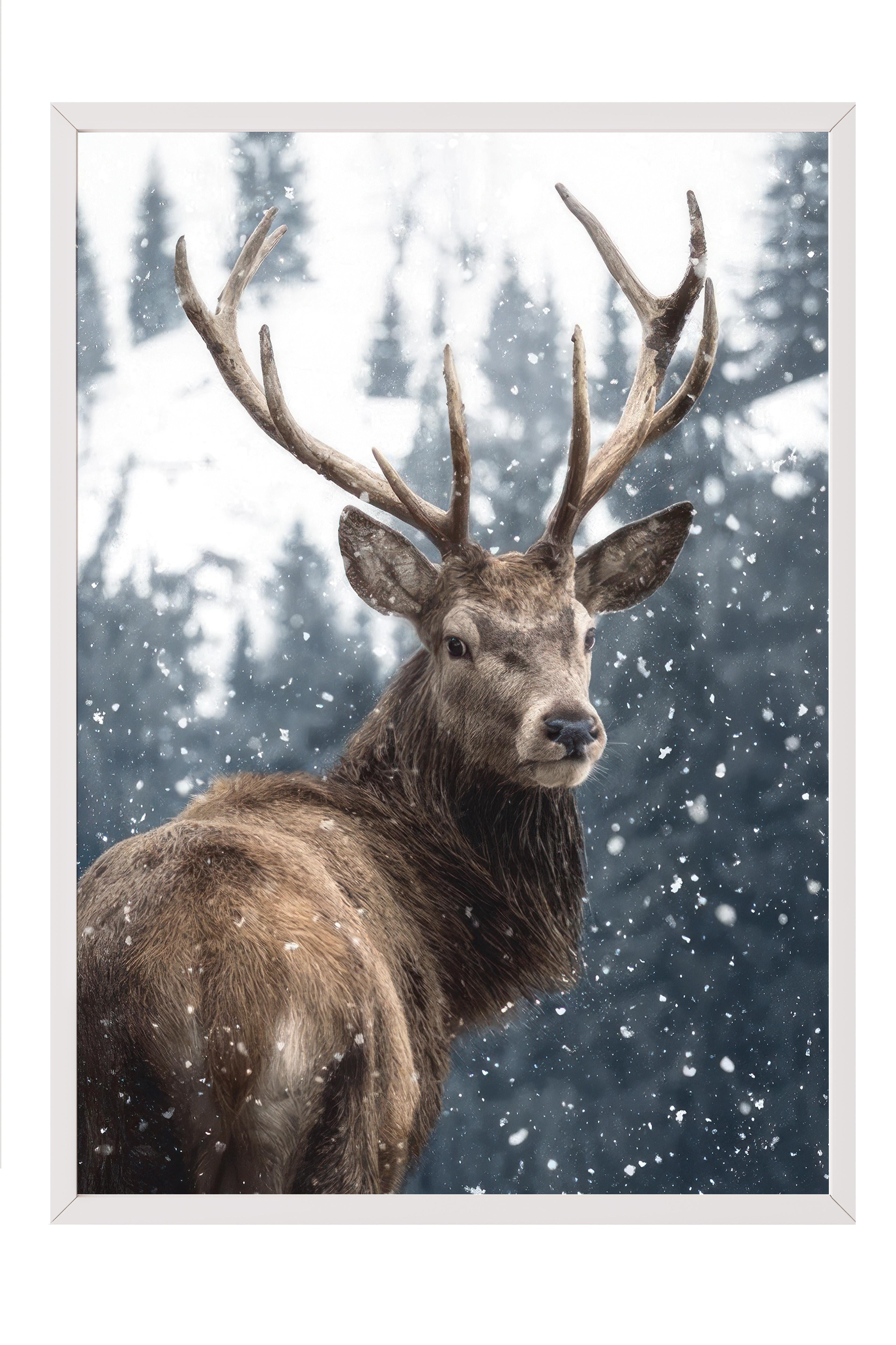 Red Deer in Snow  Çerçeveli Yılbaşı Tablosu, Beyaz Çerçeve ve Poster Comfort Serisi NO:108508