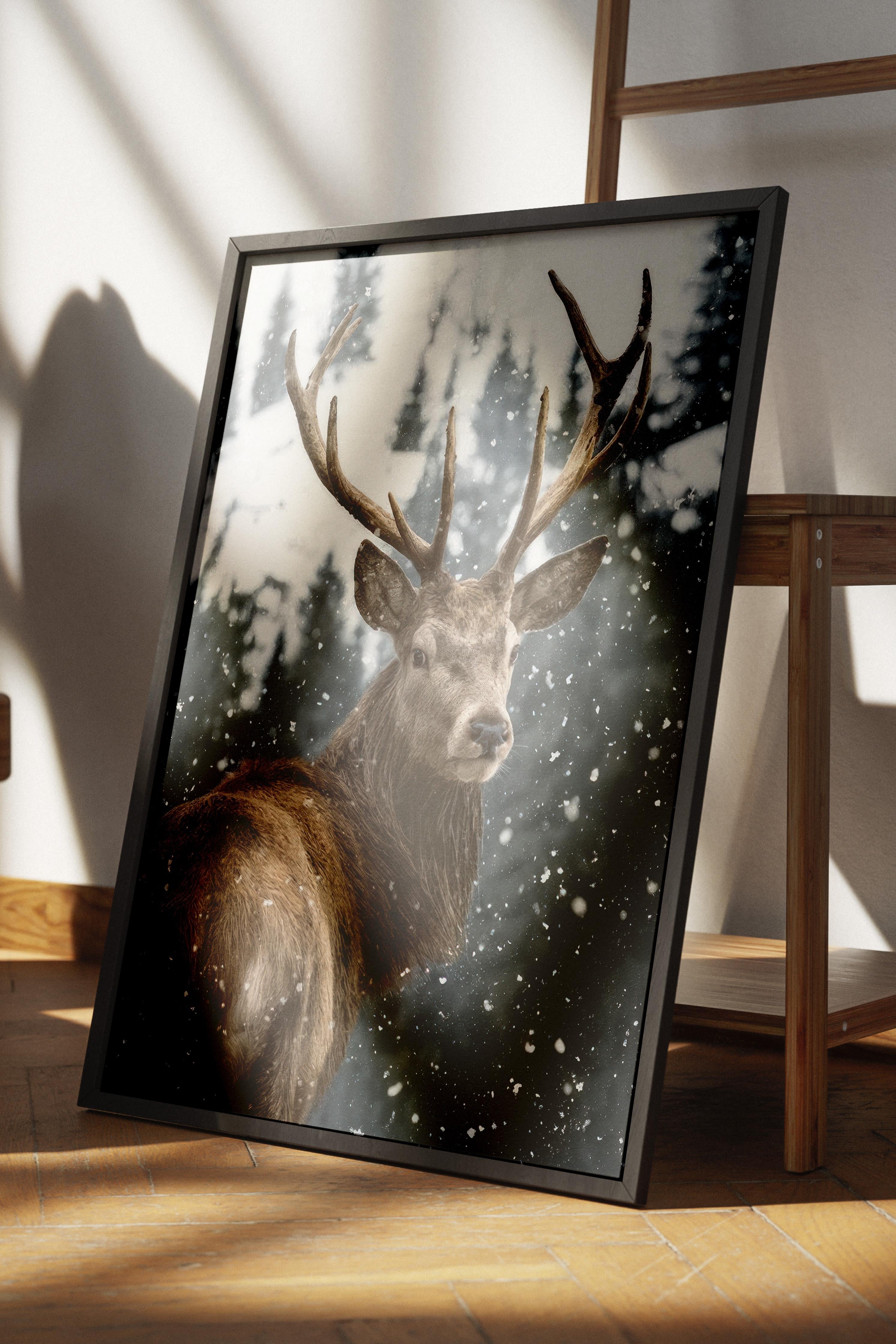 Red Deer in Snow  Çerçeveli Yılbaşı Tablosu, Siyah Çerçeve ve Poster Comfort Serisi NO:108508