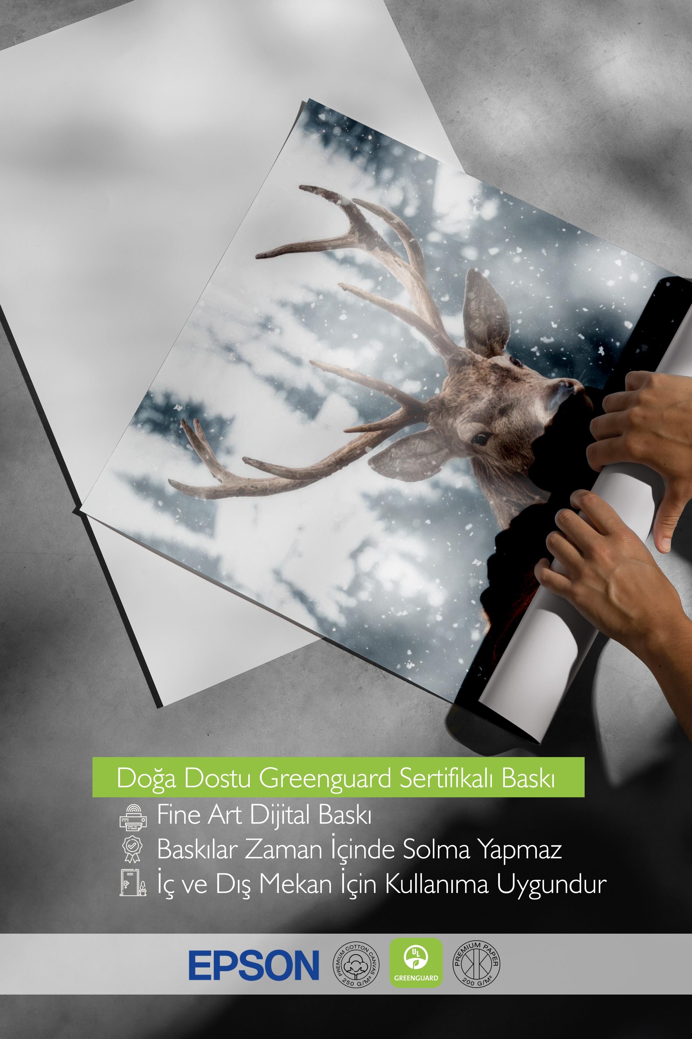 Red Deer in Snow  Poster, Çerçevesiz Duvar Posteri, Yılbaşı Duvar Tablosu Comfort Serisi NO:108508