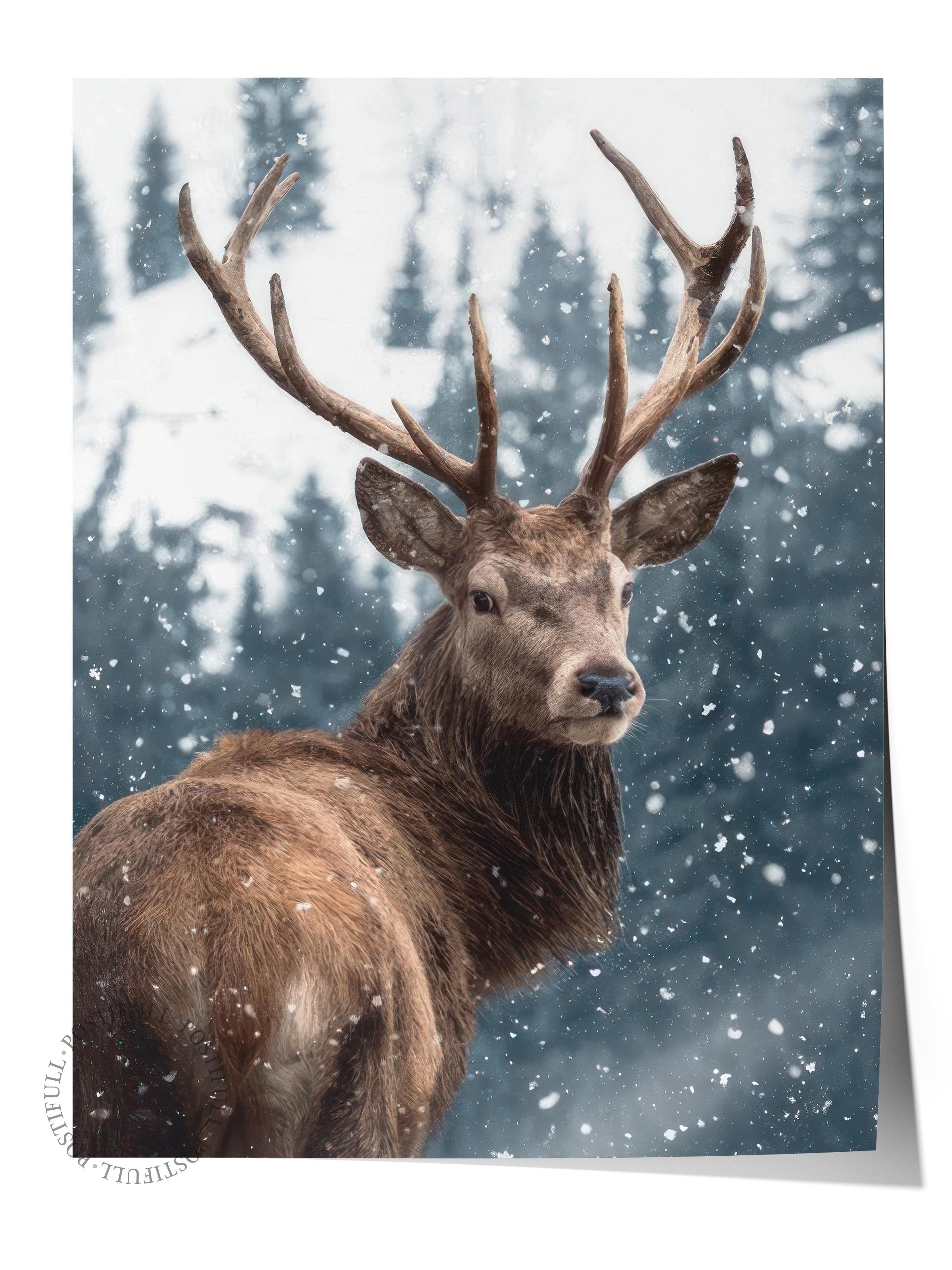 Red Deer in Snow  Poster, Çerçevesiz Duvar Posteri, Yılbaşı Duvar Tablosu Comfort Serisi NO:108508