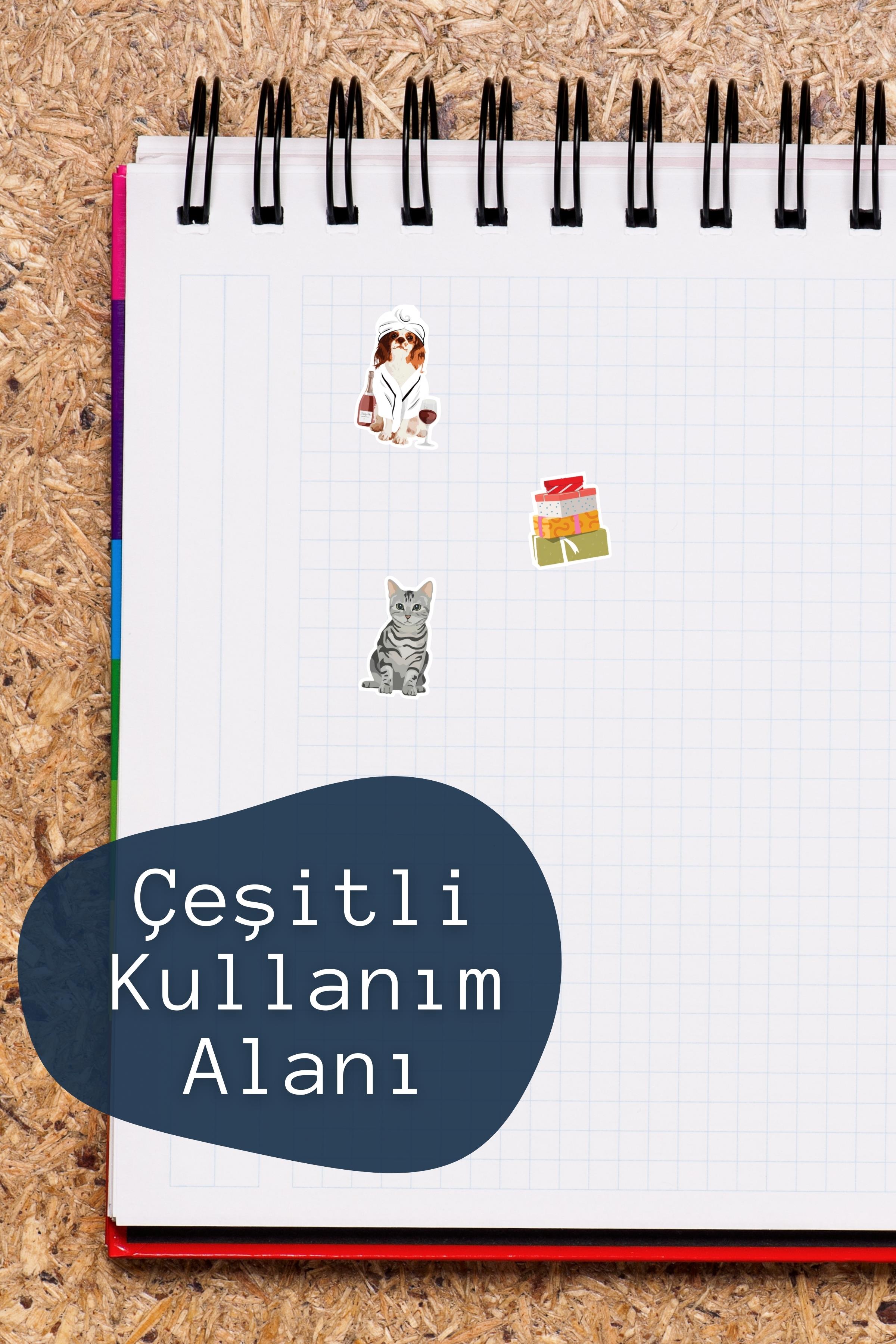 Rengarenk Etiket Seti, Büyük Boy, 10 Adet Su Geçirmez, Sticker Seti, Laptop, Telefon, Valiz Uyumlu