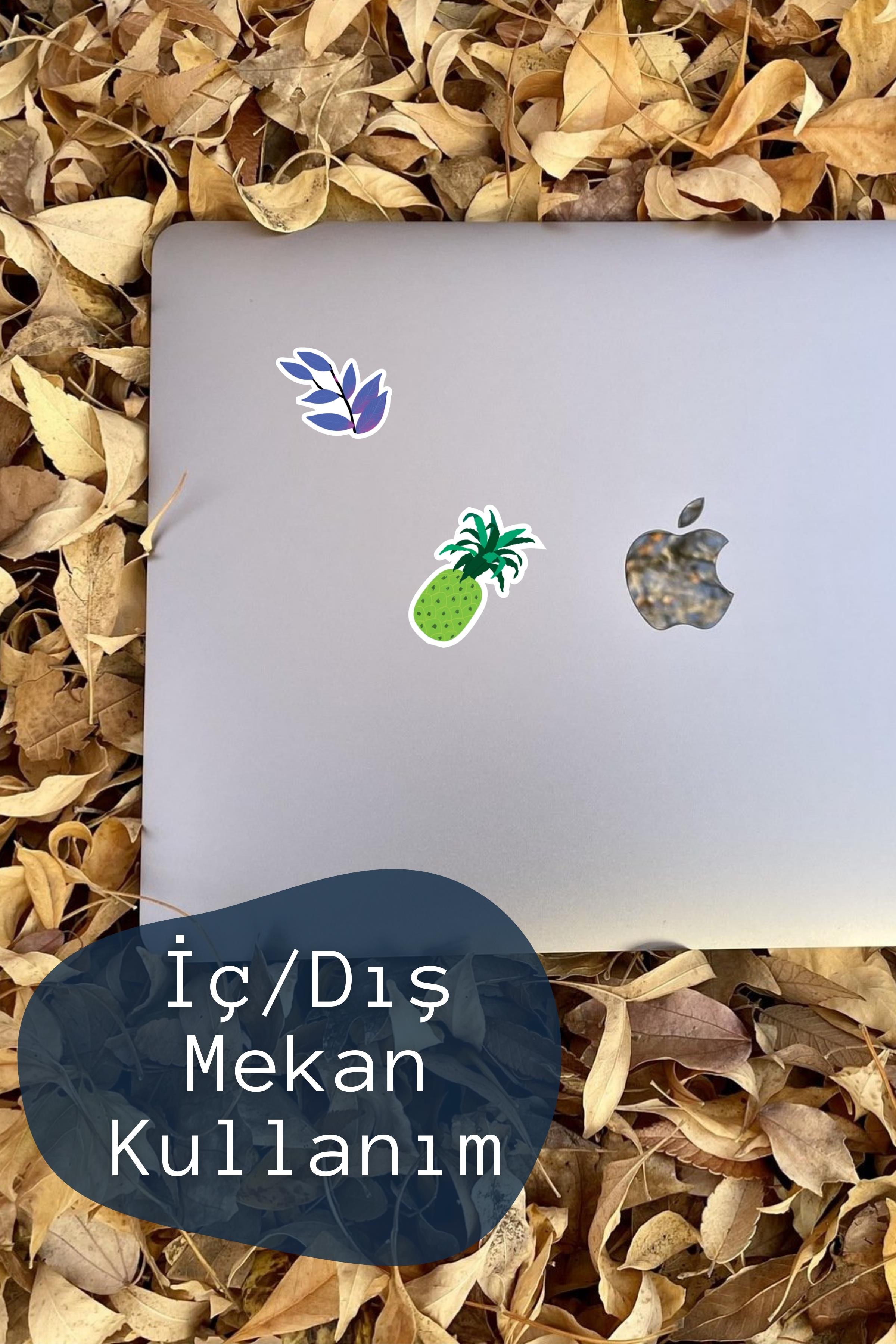 Renkli Botanik Etiket Seti, Büyük Boy, 13 Adet Su Geçirmez, Vintage Sticker, Laptop, Telefon, Valiz Uyumlu