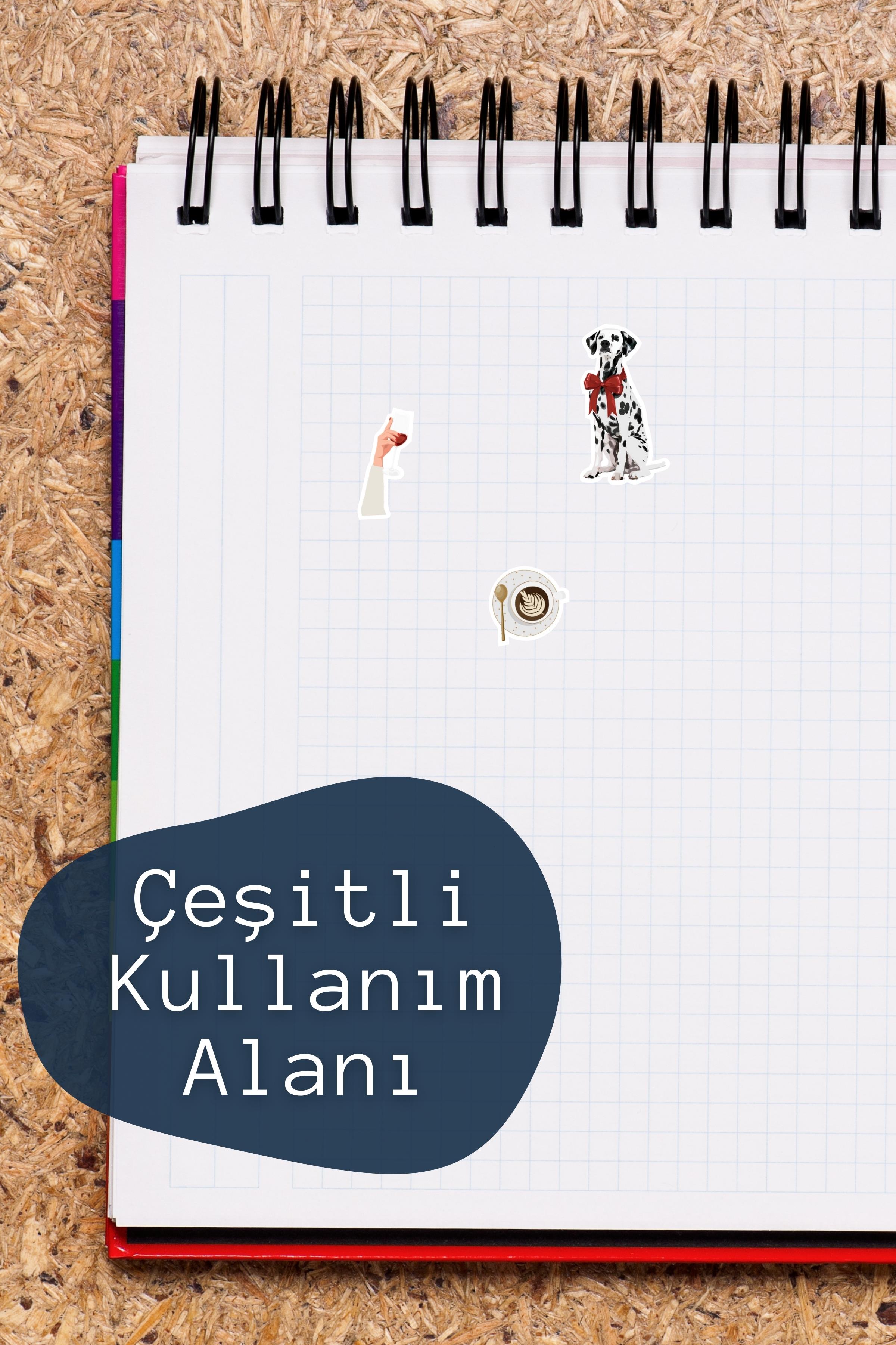 Renkli Gezginin Etiket Seti, Büyük Boy, 14 Adet Su Geçirmez, Sticker Seti, Laptop, Telefon, Valiz Uyumlu