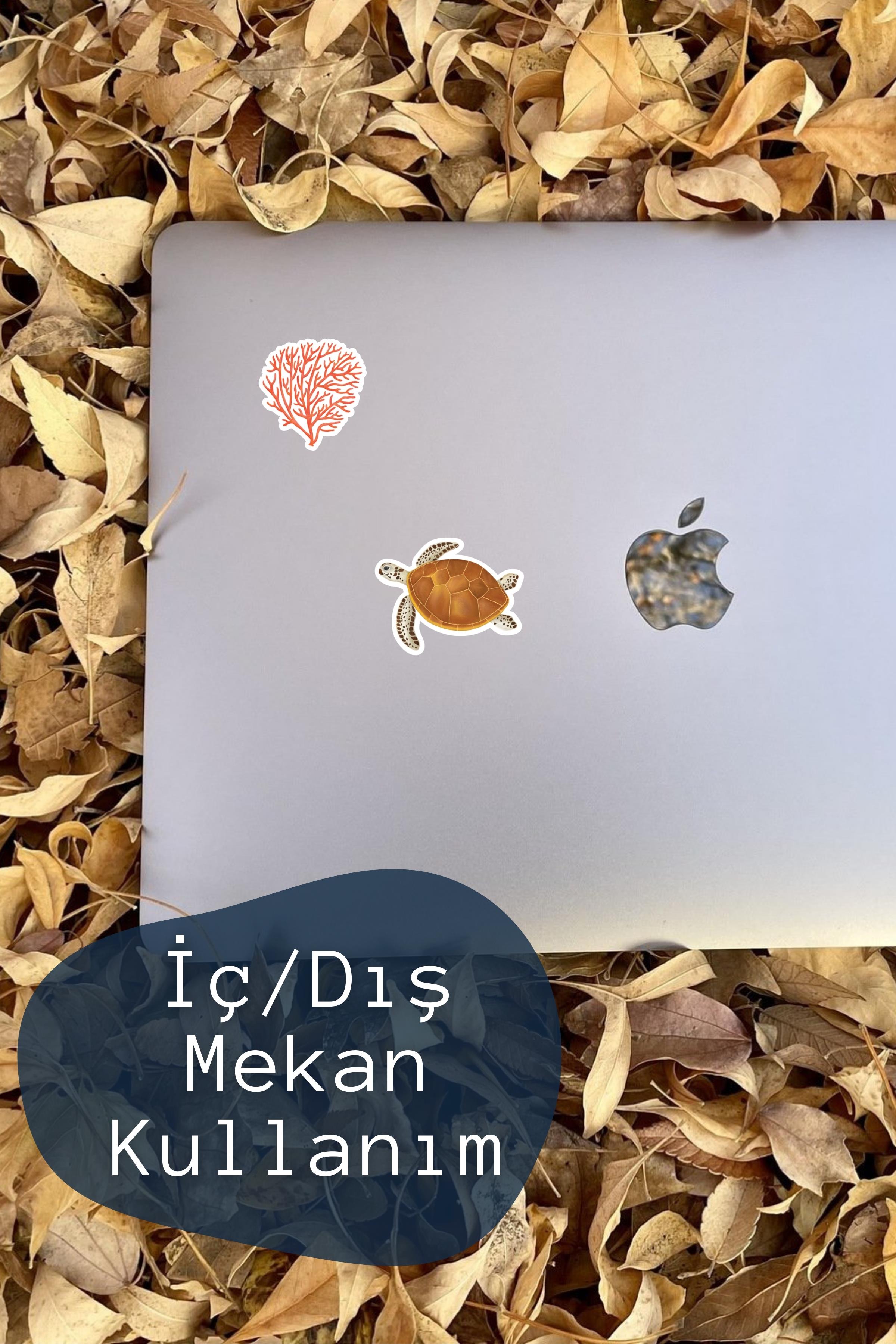 Renkli Okyanus Etiket Seti, Büyük Boy, 20 Adet Su Geçirmez, Vintage Sticker, Laptop, Telefon, Valiz Uyumlu