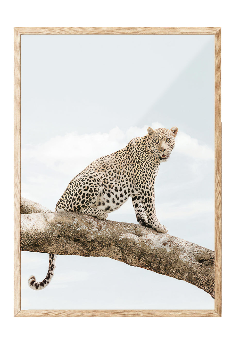 Ağaç Üzerinde Leopar Poster – Ahşap Çerçeveli Tablo