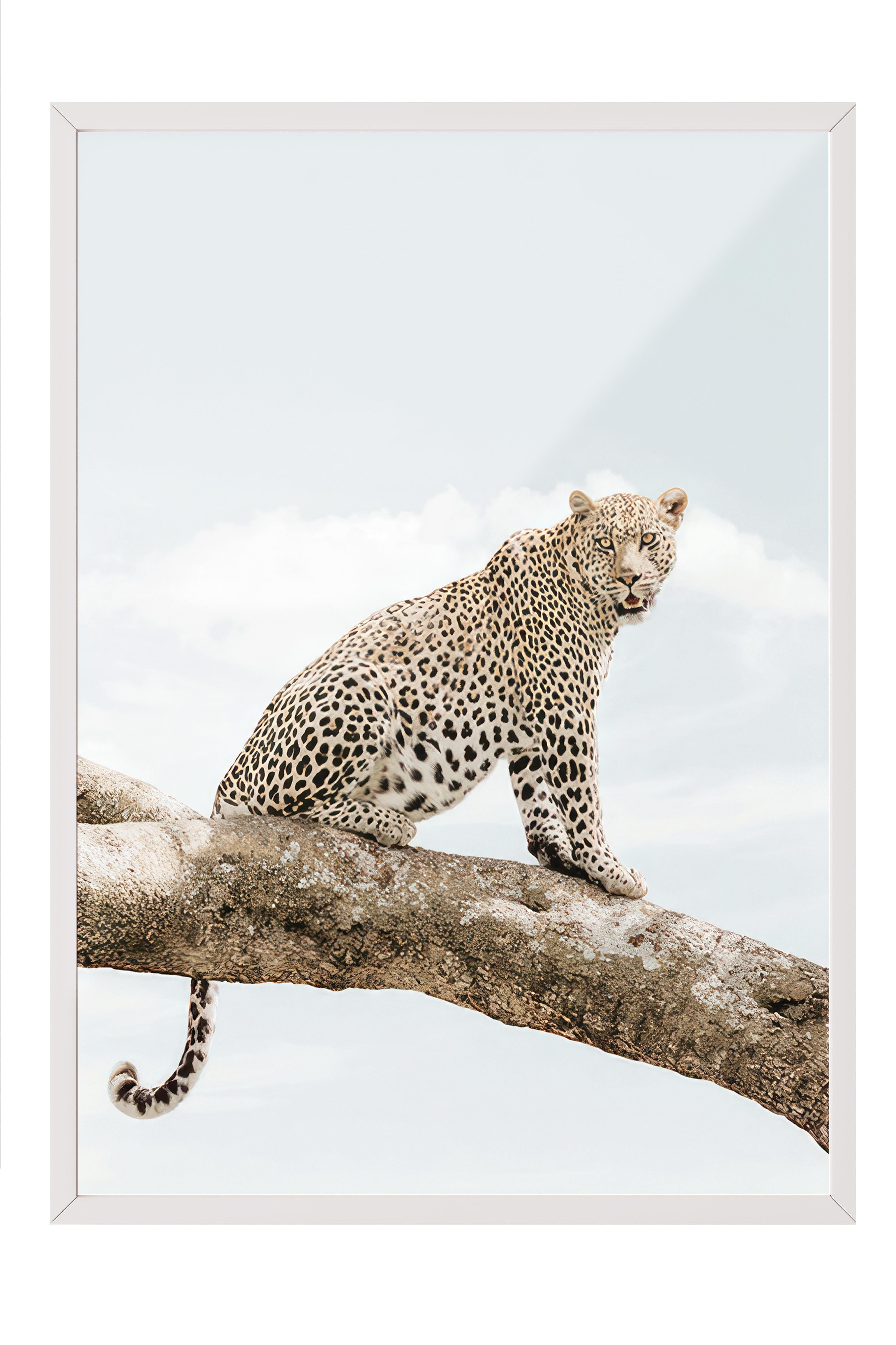 Resting Leopard Çerçeveli Tablo, Beyaz Çerçeve ve Poster, Duvar Tablosu Comfort Serisi NO:108465