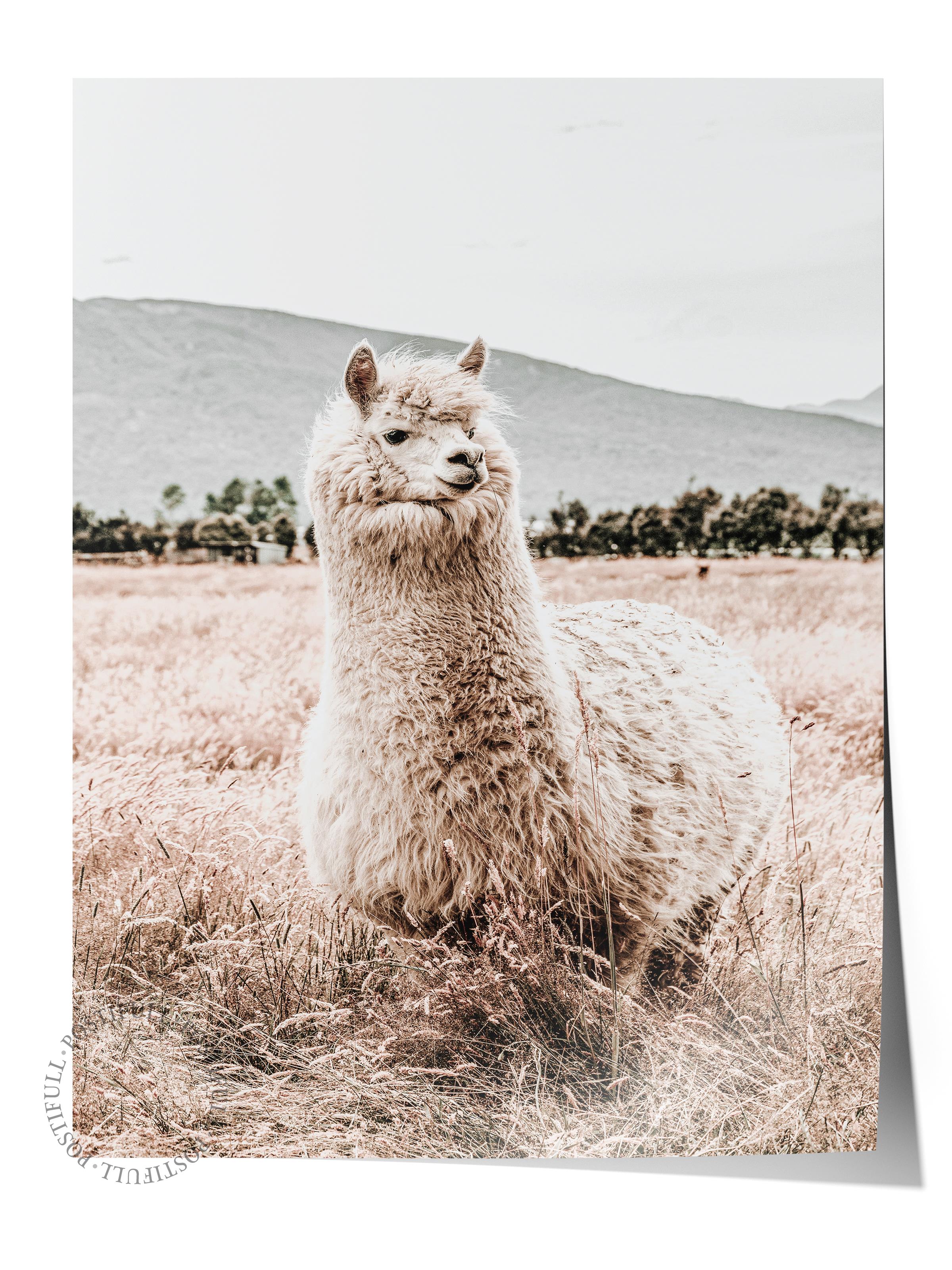 Rustic Çerçevesiz Poster, İskandinav Beyaz Poster, NO:276 Alpaka Fotoğraf, Dikey