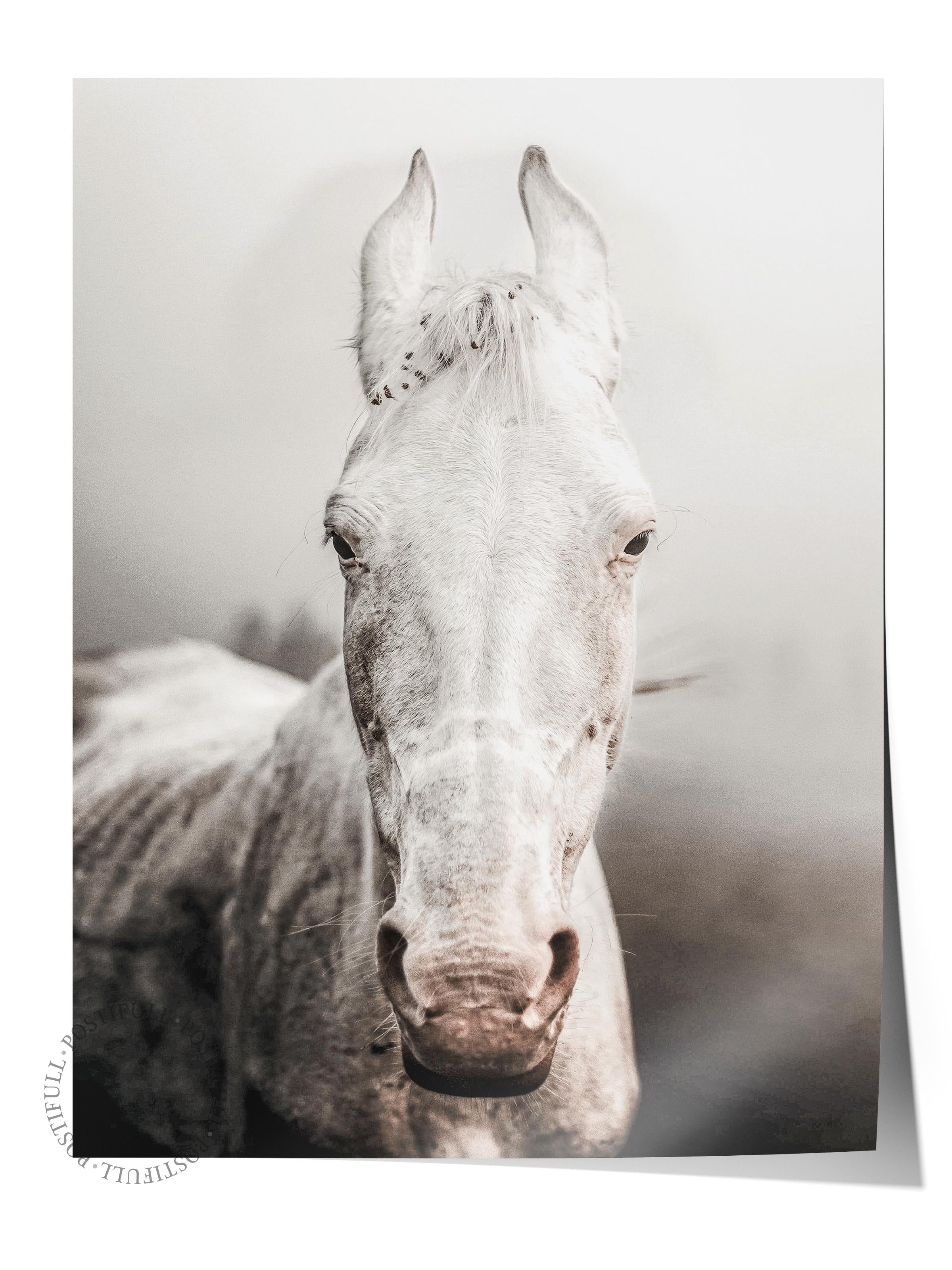 Rustic Çerçevesiz Poster, İskandinav Beyaz Poster, NO:299 At Fotoğraf, Dikey