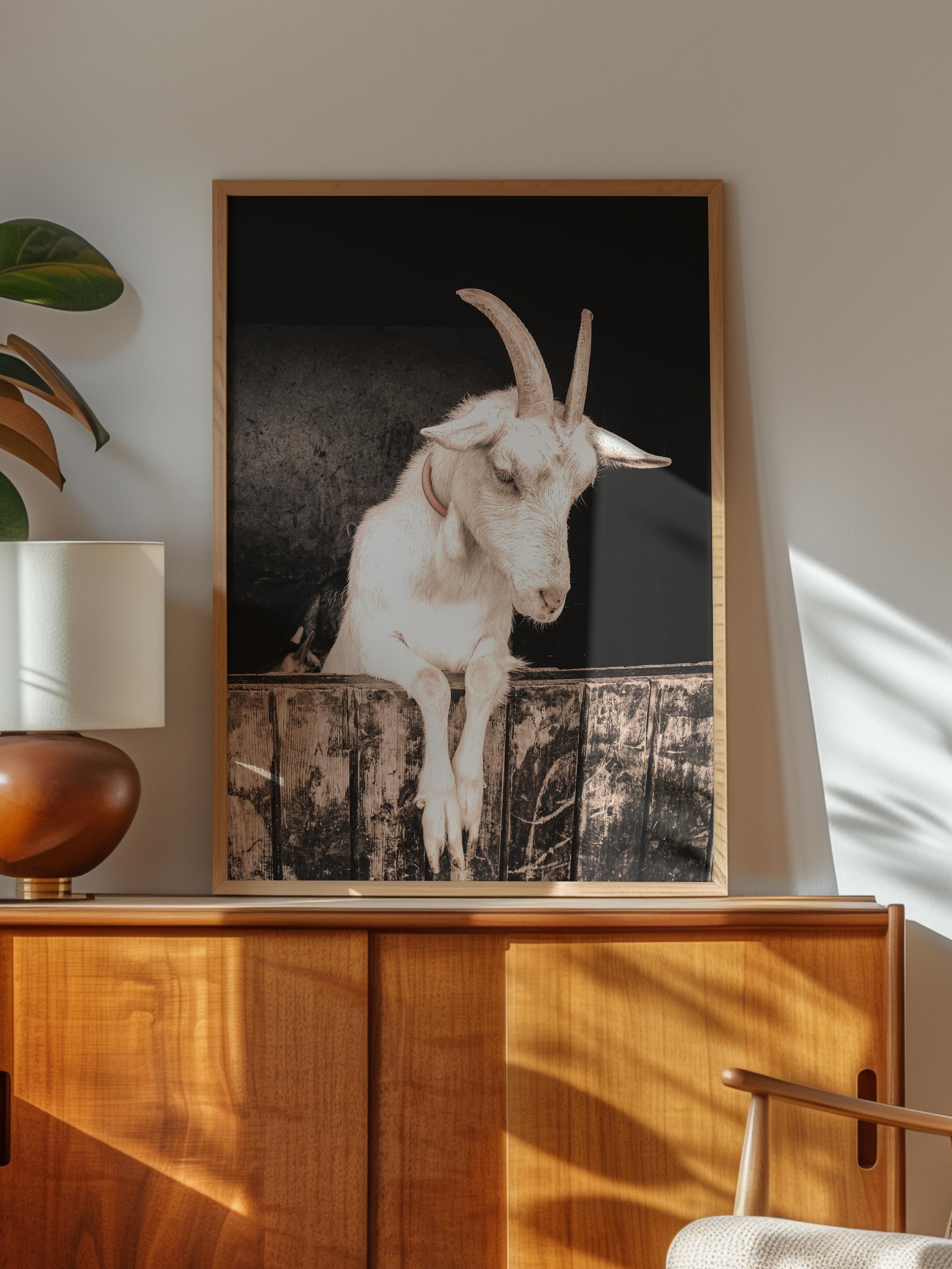 Rustic Çerçevesiz Poster, İskandinav Beyaz Poster, NO:301 Keçi Fotoğraf, Dikey