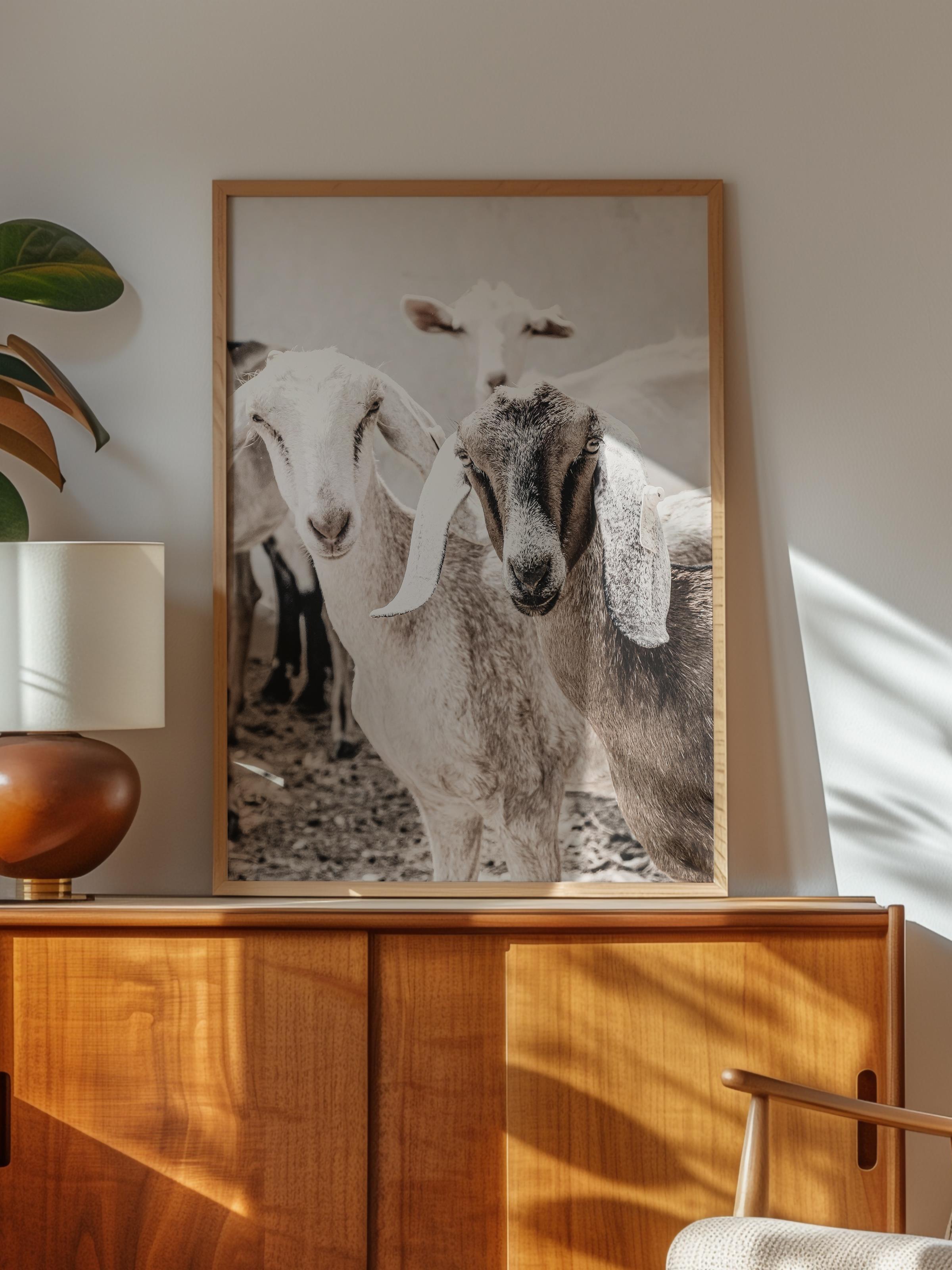 Rustic Çerçevesiz Poster, İskandinav Beyaz Poster, NO:305 İnekler Fotoğraf, Dikey