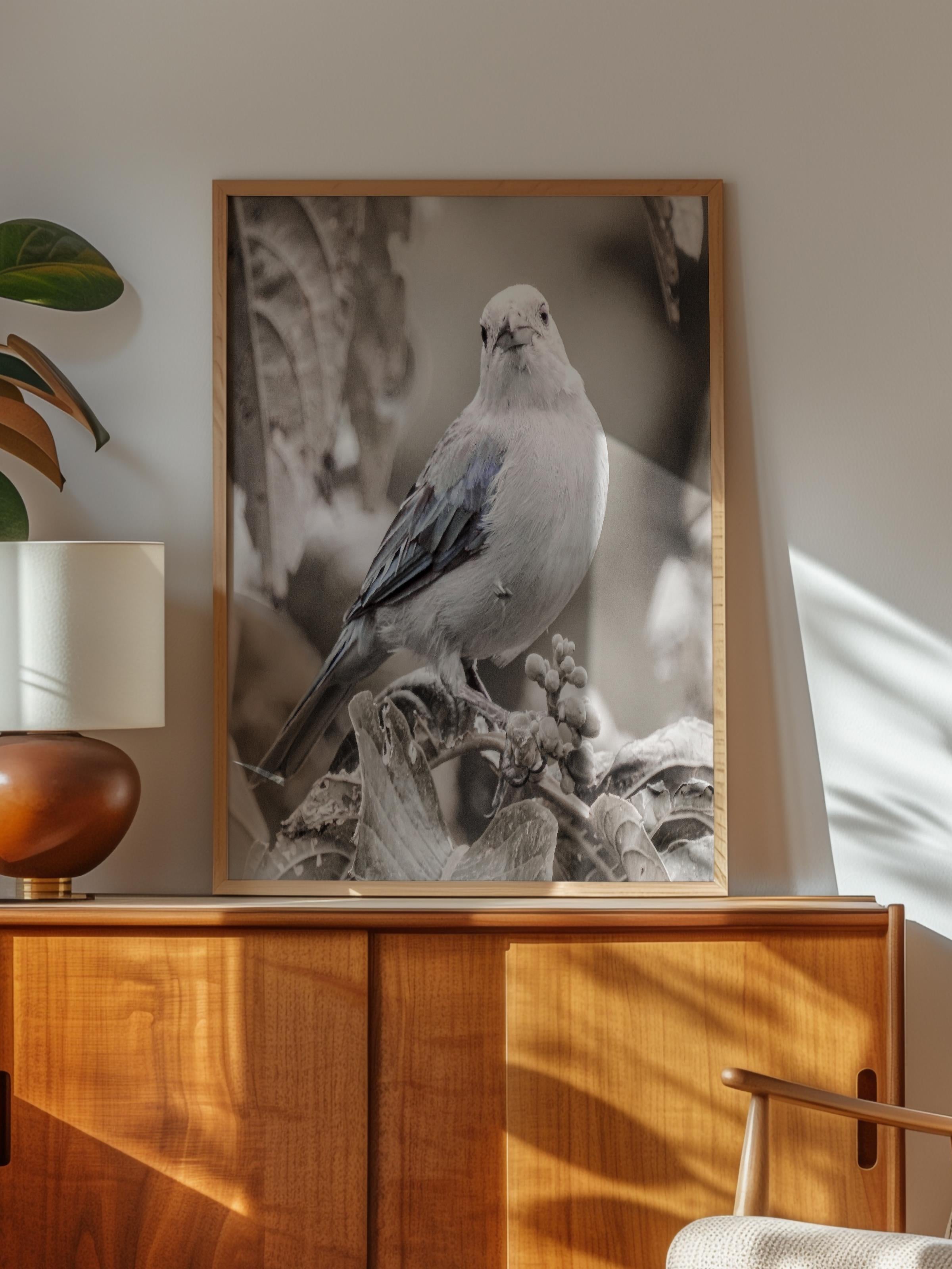 Rustic Çerçevesiz Poster, İskandinav Beyaz Poster, NO:325 Kuş Fotoğraf, Dikey