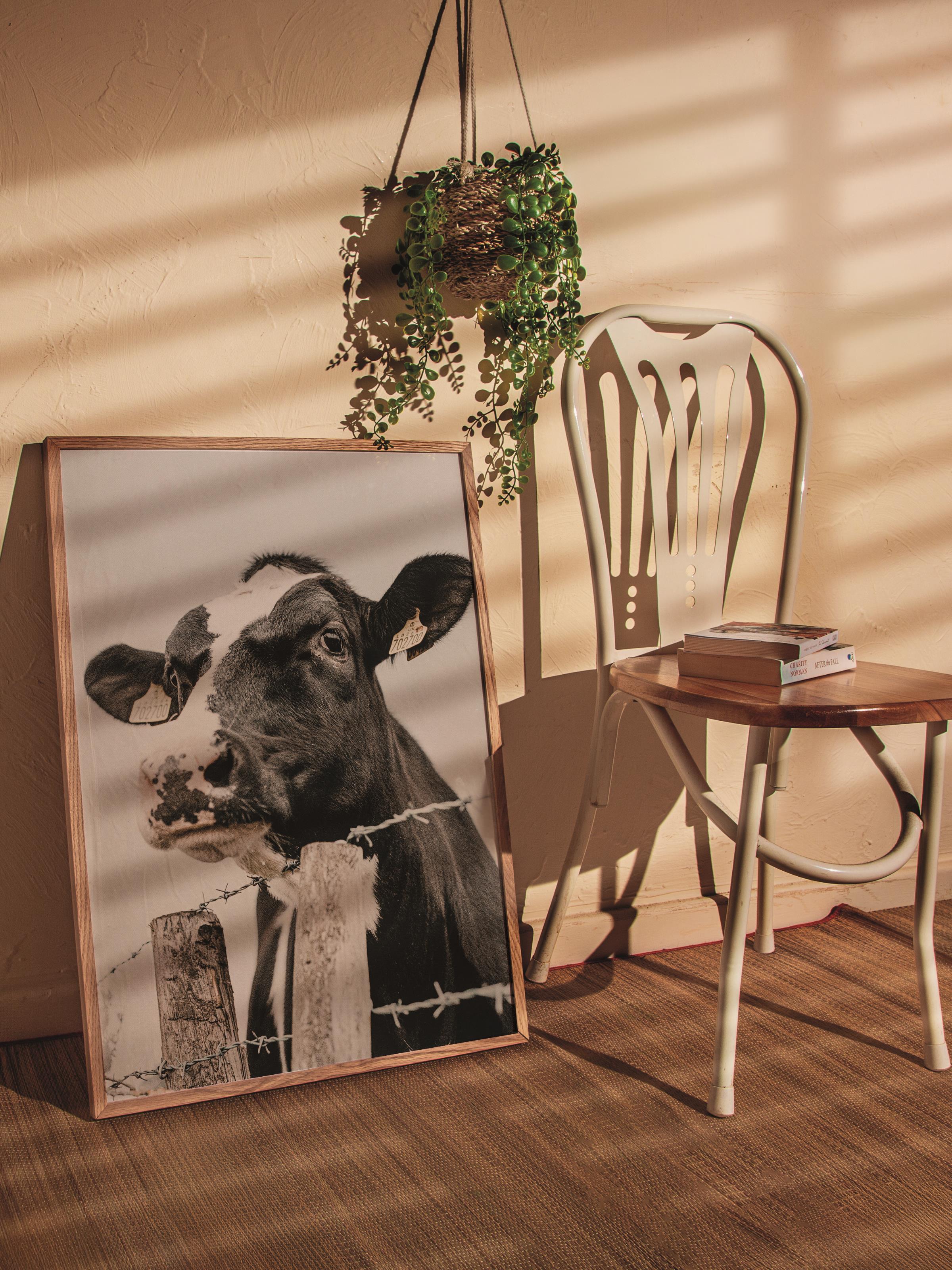 Rustic Çerçevesiz Poster, İskandinav Beyaz Poster, NO:328 İnek Fotoğraf, Dikey