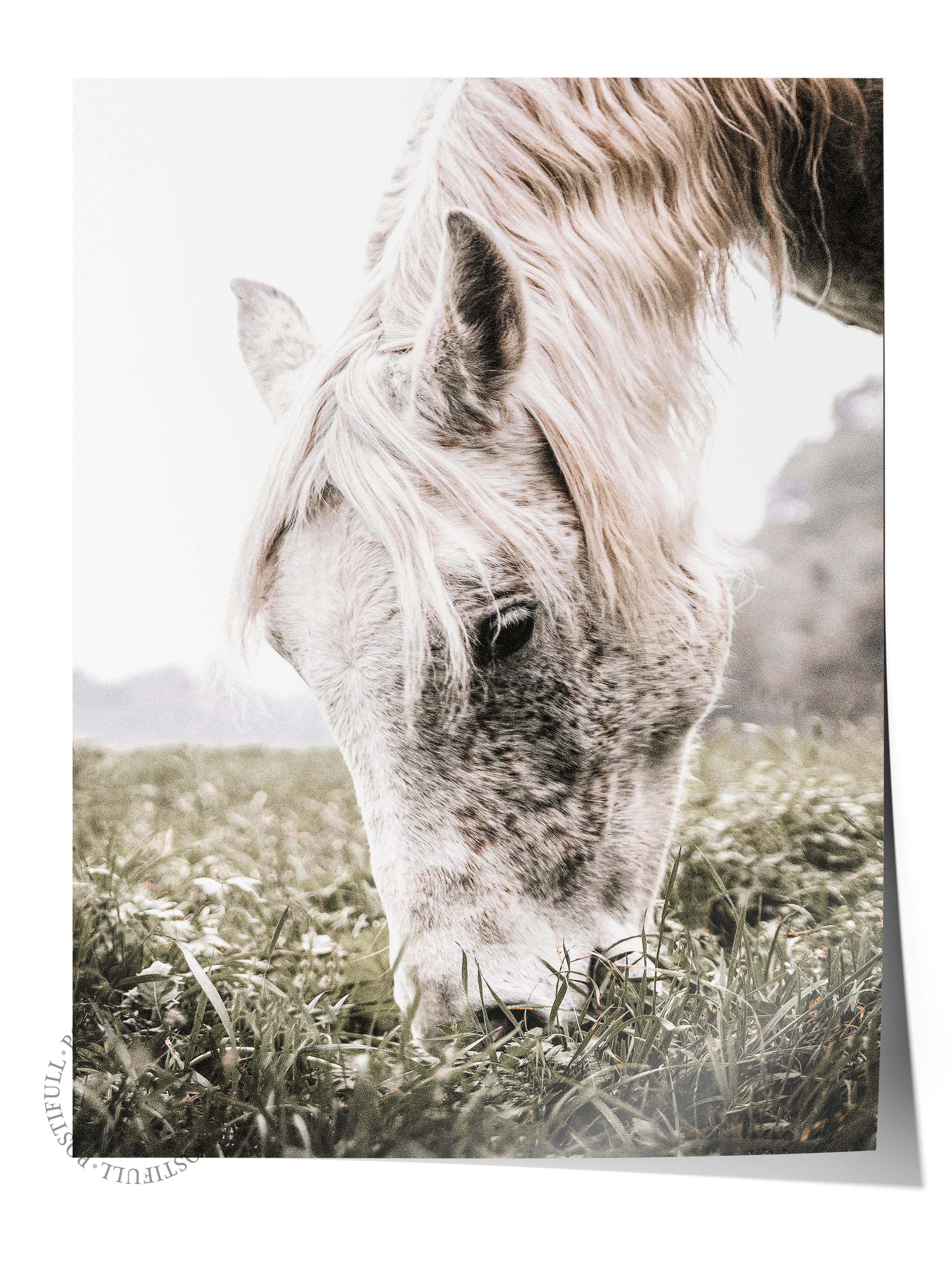 Rustic Çerçevesiz Poster, İskandinav Beyaz Poster, NO:330 Keçi Fotoğraf, Dikey