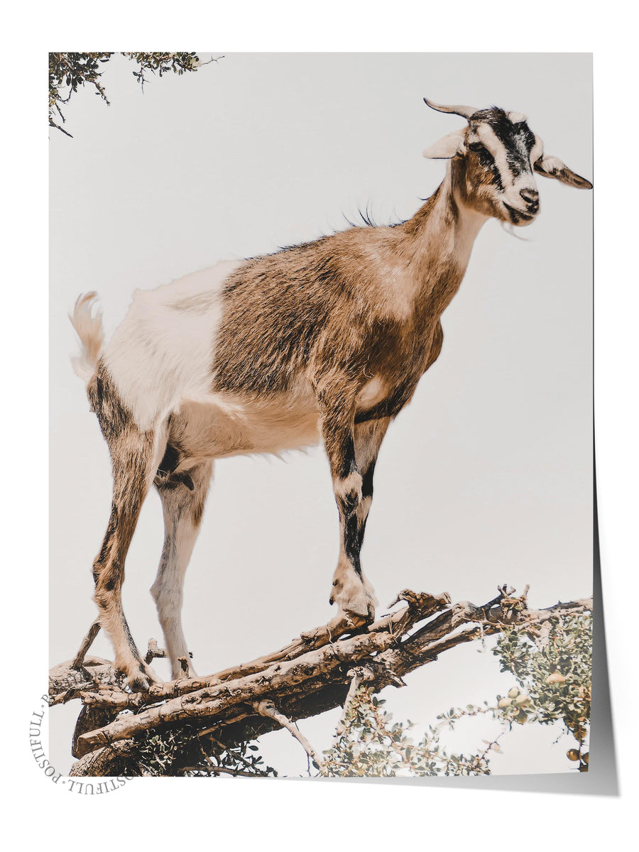 Ağaç Üzerinde Keçi Rustic Çerçevesiz Poster