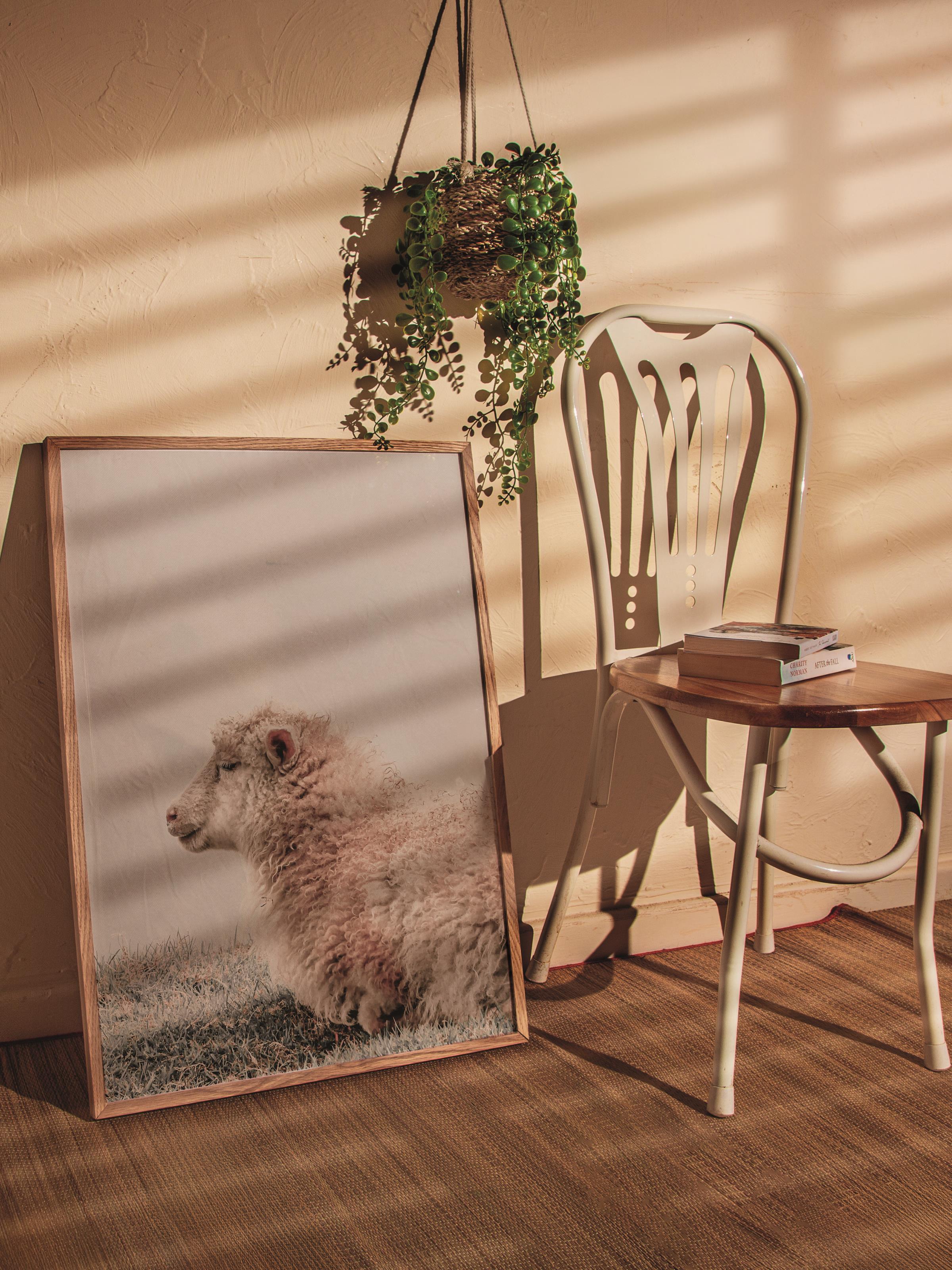 Rustic Çerçevesiz Poster, İskandinav Beyaz Poster, NO:343 Koyun Fotoğraf, Dikey