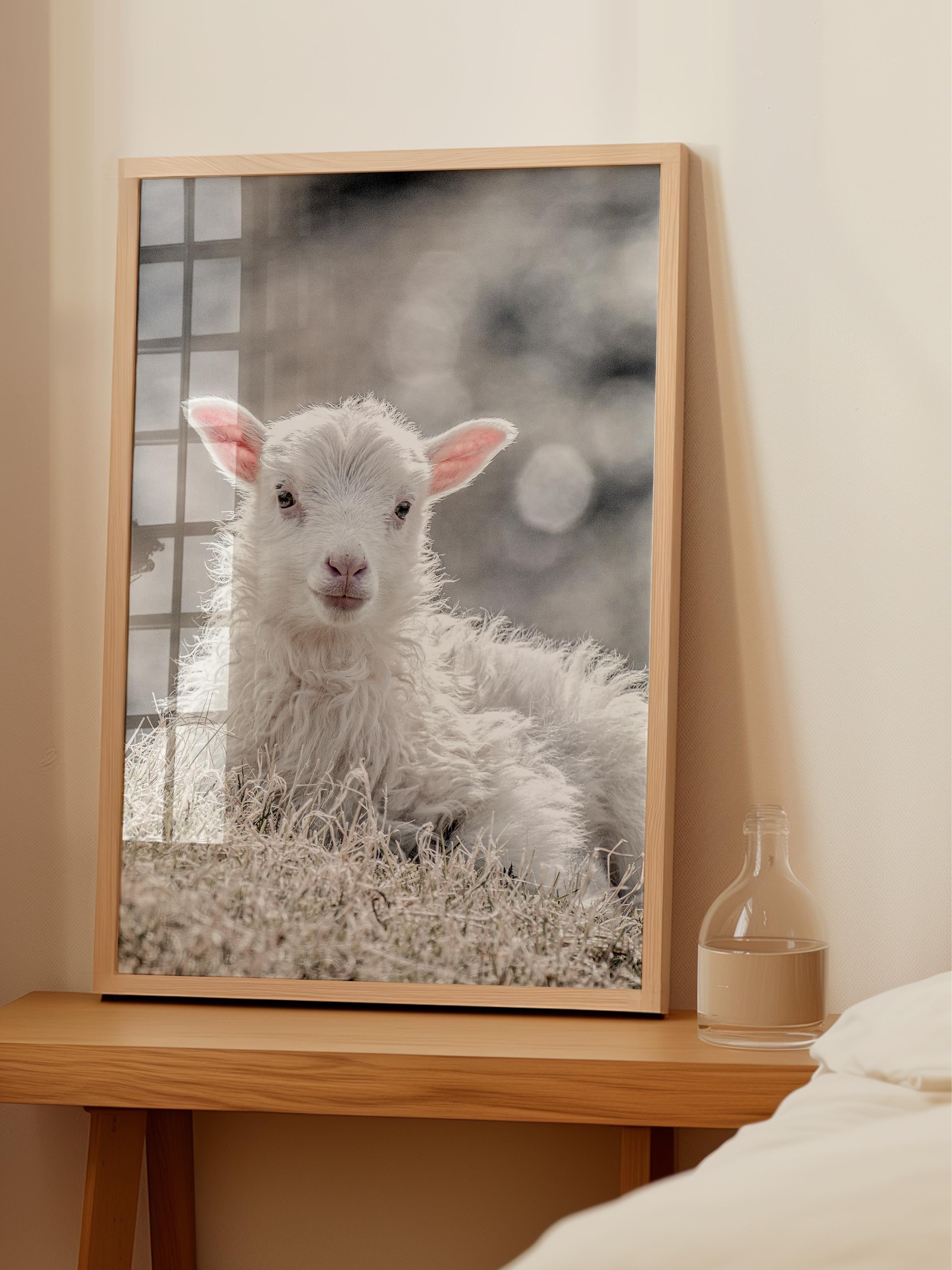 Rustic Çerçevesiz Poster, İskandinav Beyaz Poster, NO:345 Kuzu Fotoğraf, Dikey