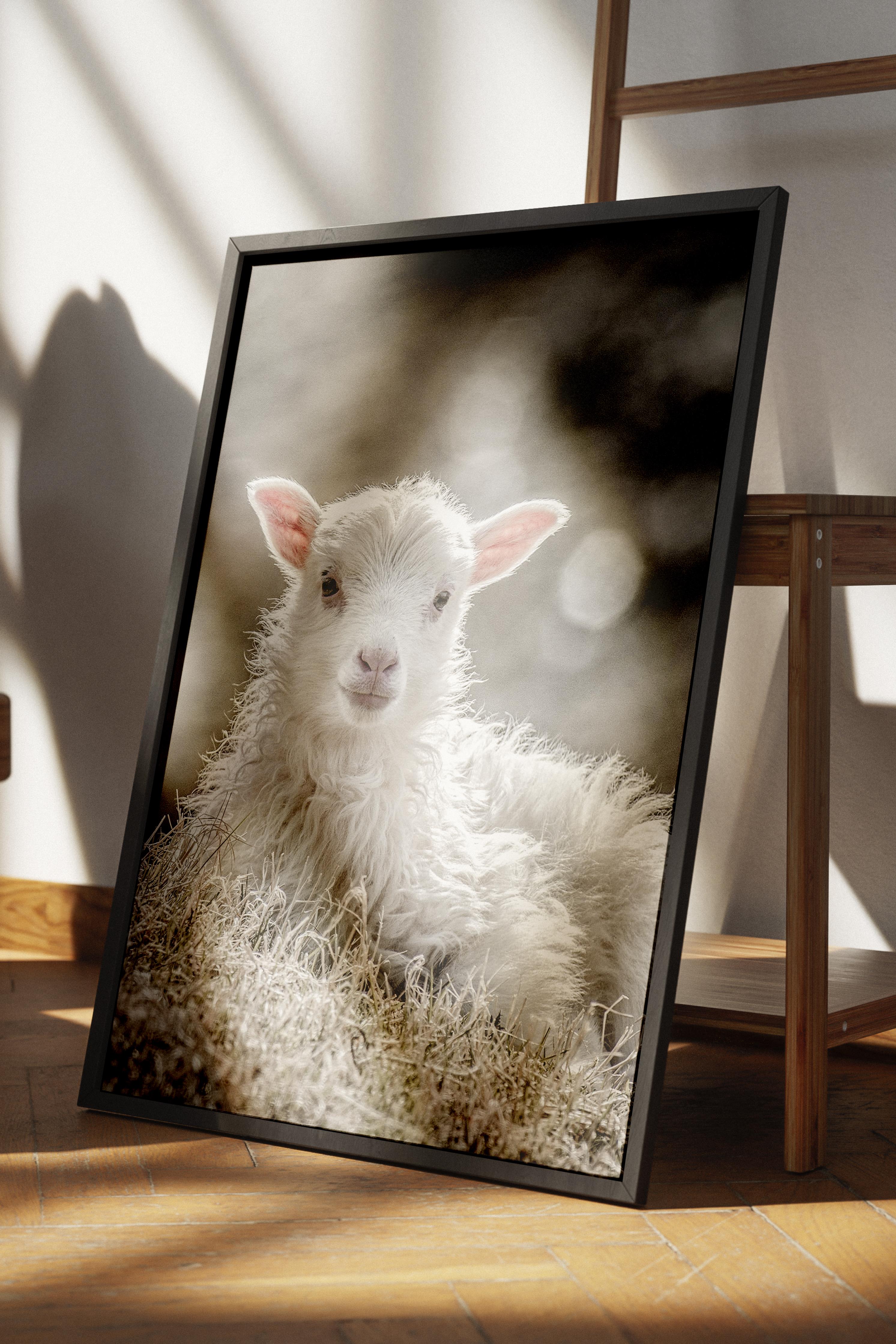 Rustic Çerçevesiz Poster, İskandinav Beyaz Poster, NO:345 Kuzu Fotoğraf, Dikey