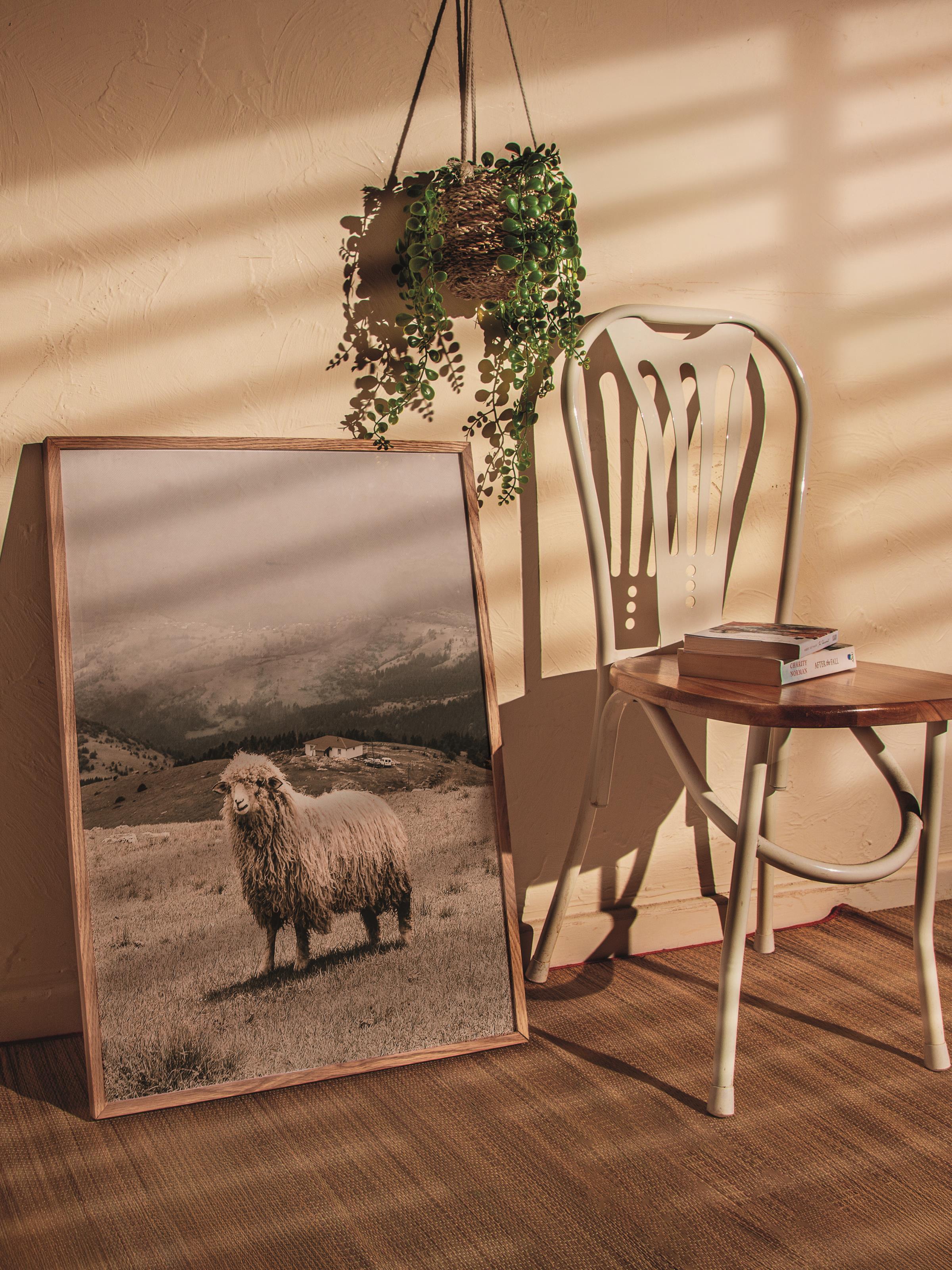 Rustic Çerçevesiz Poster, İskandinav Beyaz Poster, NO:348 Koyun Fotoğraf, Dikey