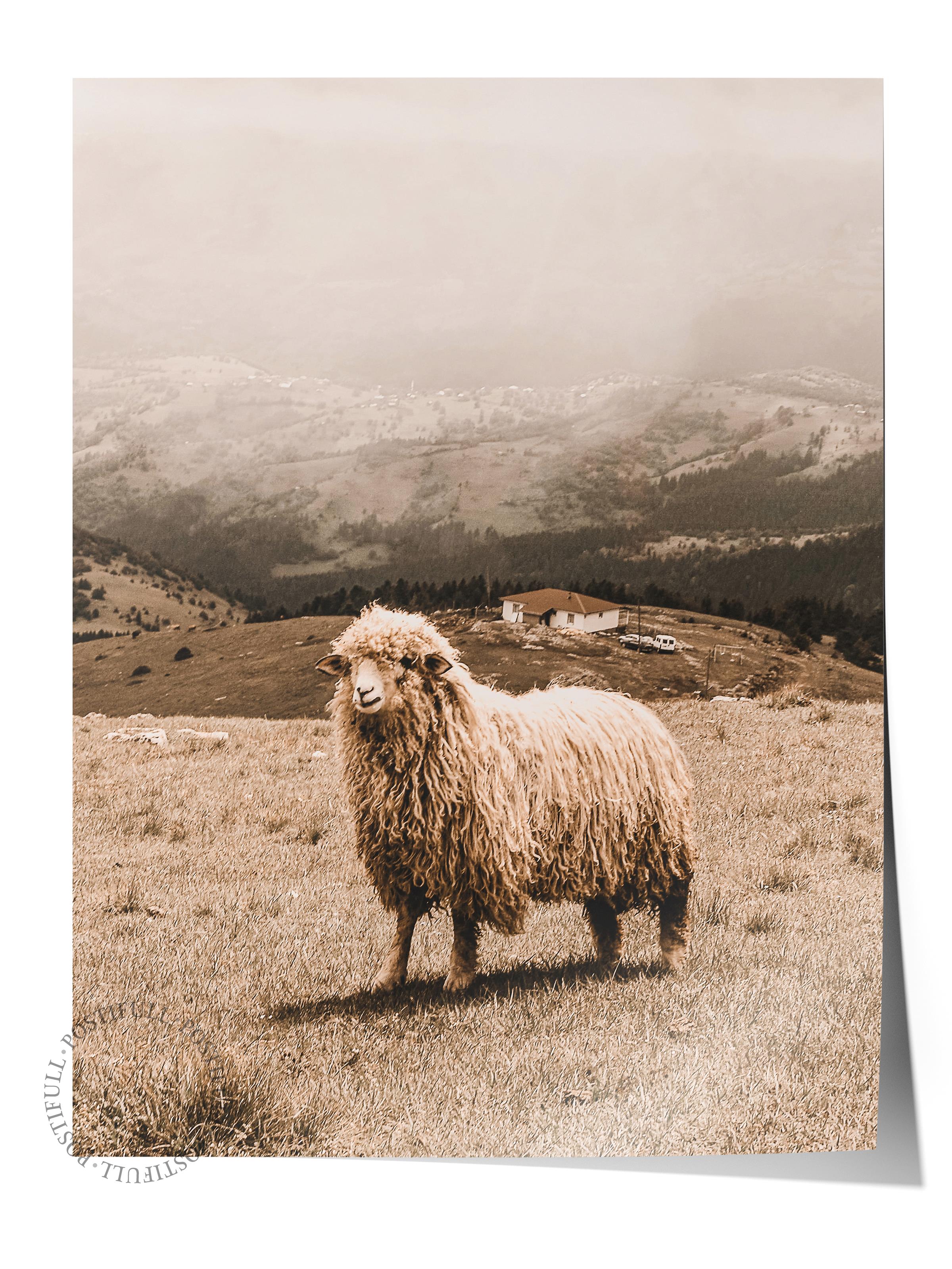 Rustic Çerçevesiz Poster, İskandinav Beyaz Poster, NO:348 Koyun Fotoğraf, Dikey