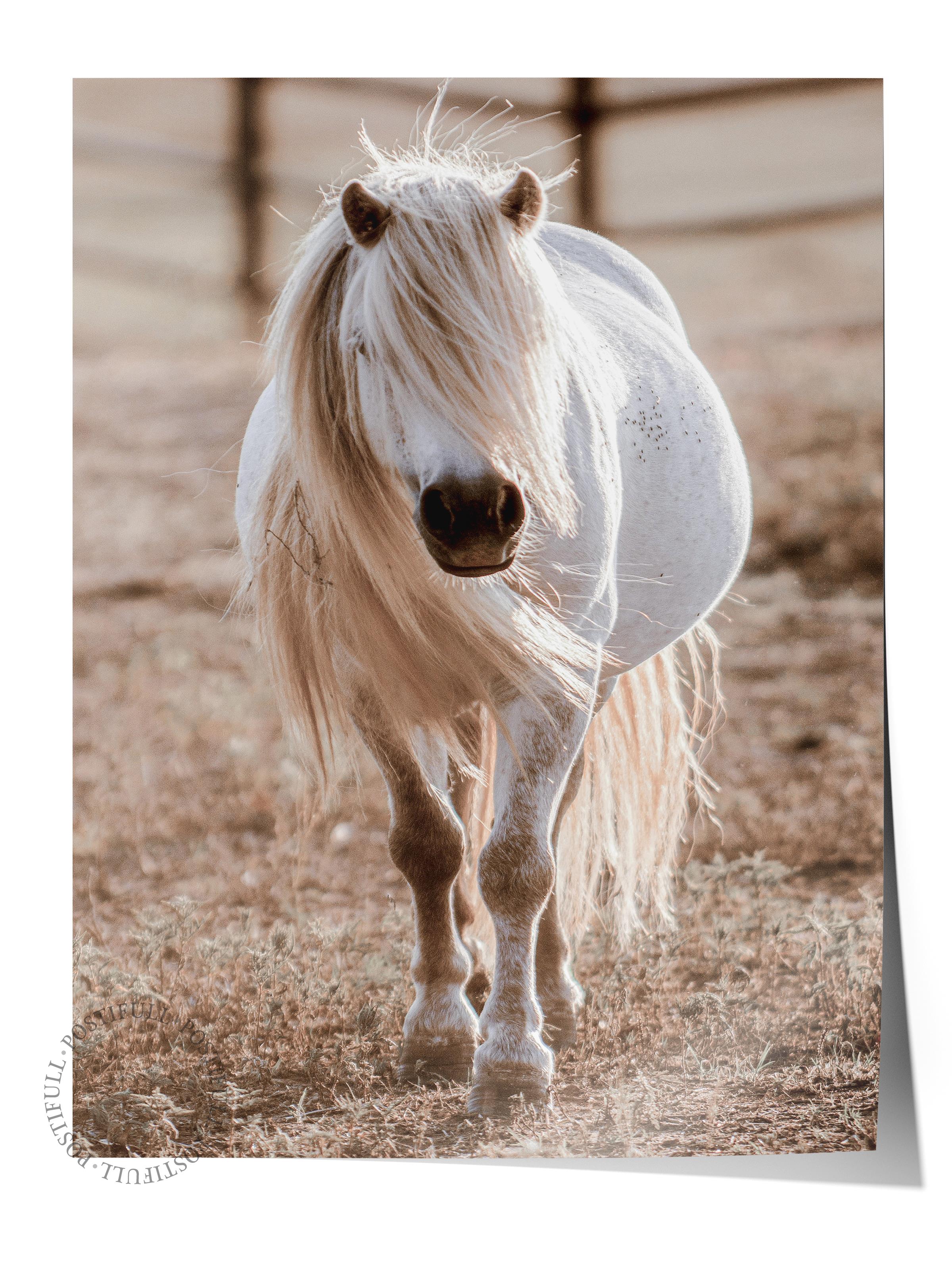 Rustic Çerçevesiz Poster, İskandinav Beyaz Poster, NO:353 At Fotoğraf, Dikey