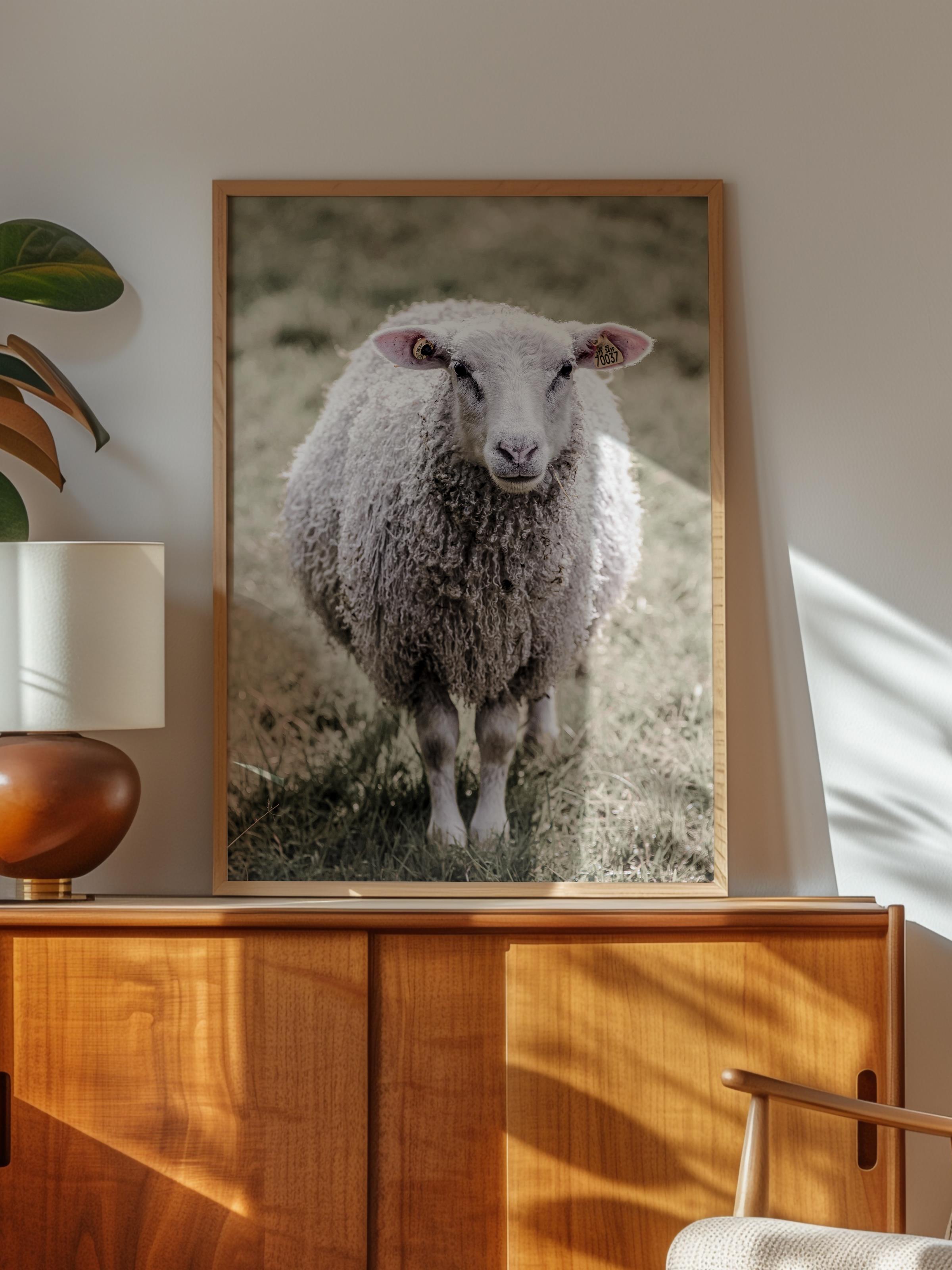 Rustic Çerçevesiz Poster, İskandinav Beyaz Poster, NO:357 Koyun Fotoğraf, Dikey