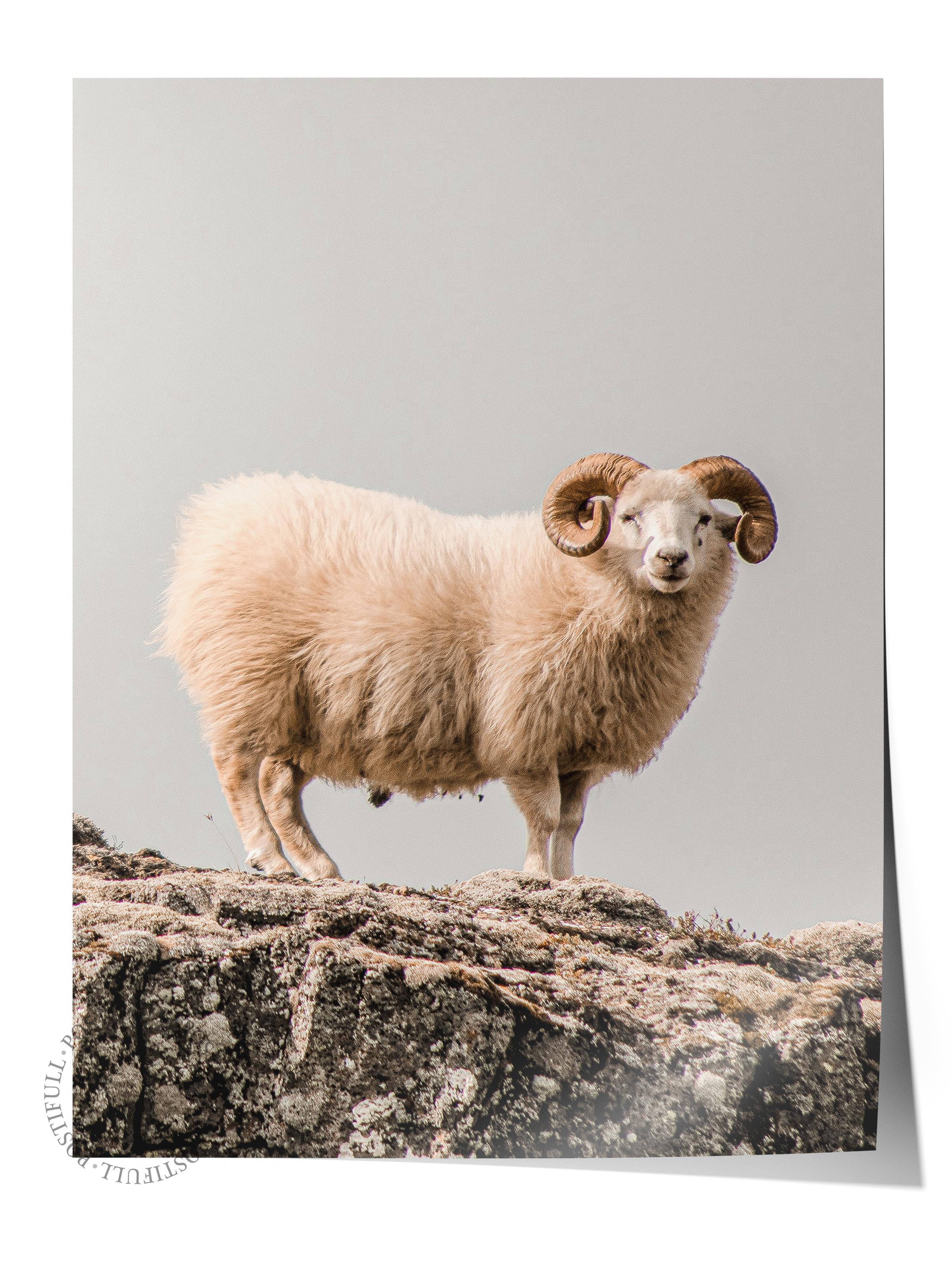 Rustic Çerçevesiz Poster, İskandinav Beyaz Poster, NO:359 Koç Fotoğraf, Dikey