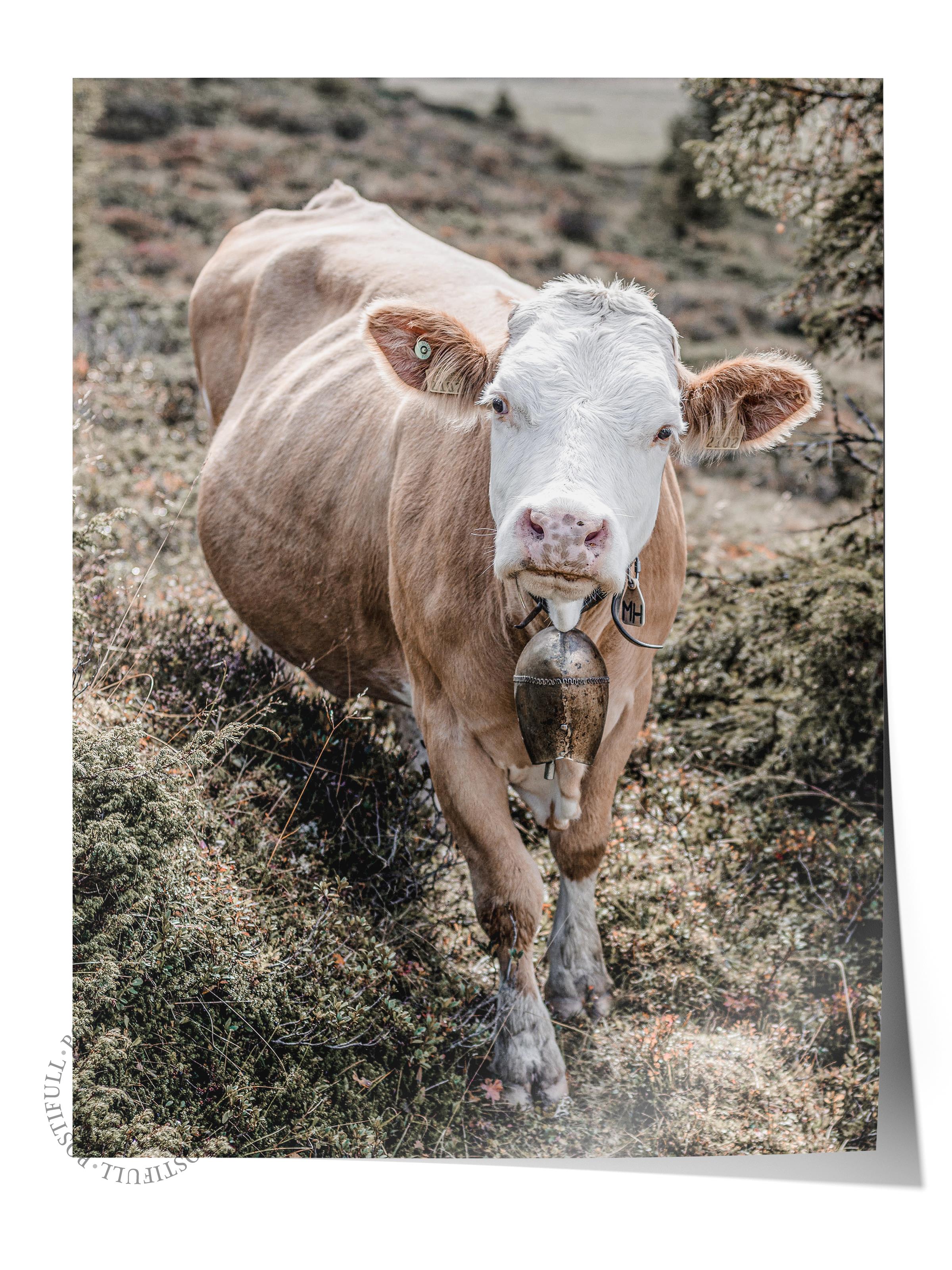 Rustic Çerçevesiz Poster, İskandinav Beyaz Poster, NO:361 İnek Fotoğraf, Dikey