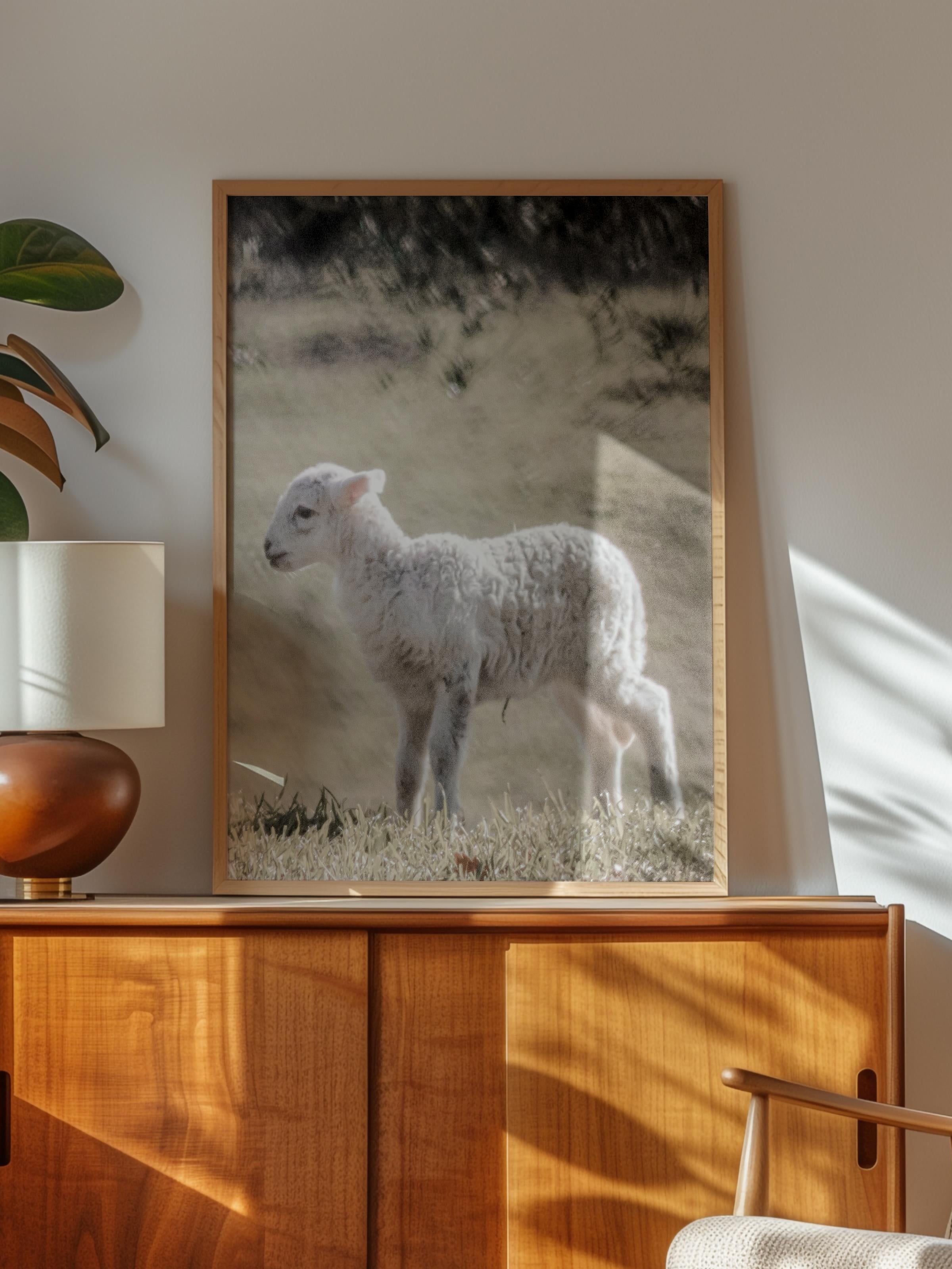 Rustic Çerçevesiz Poster, İskandinav Beyaz Poster, NO:366 Kuzu Fotoğraf, Dikey