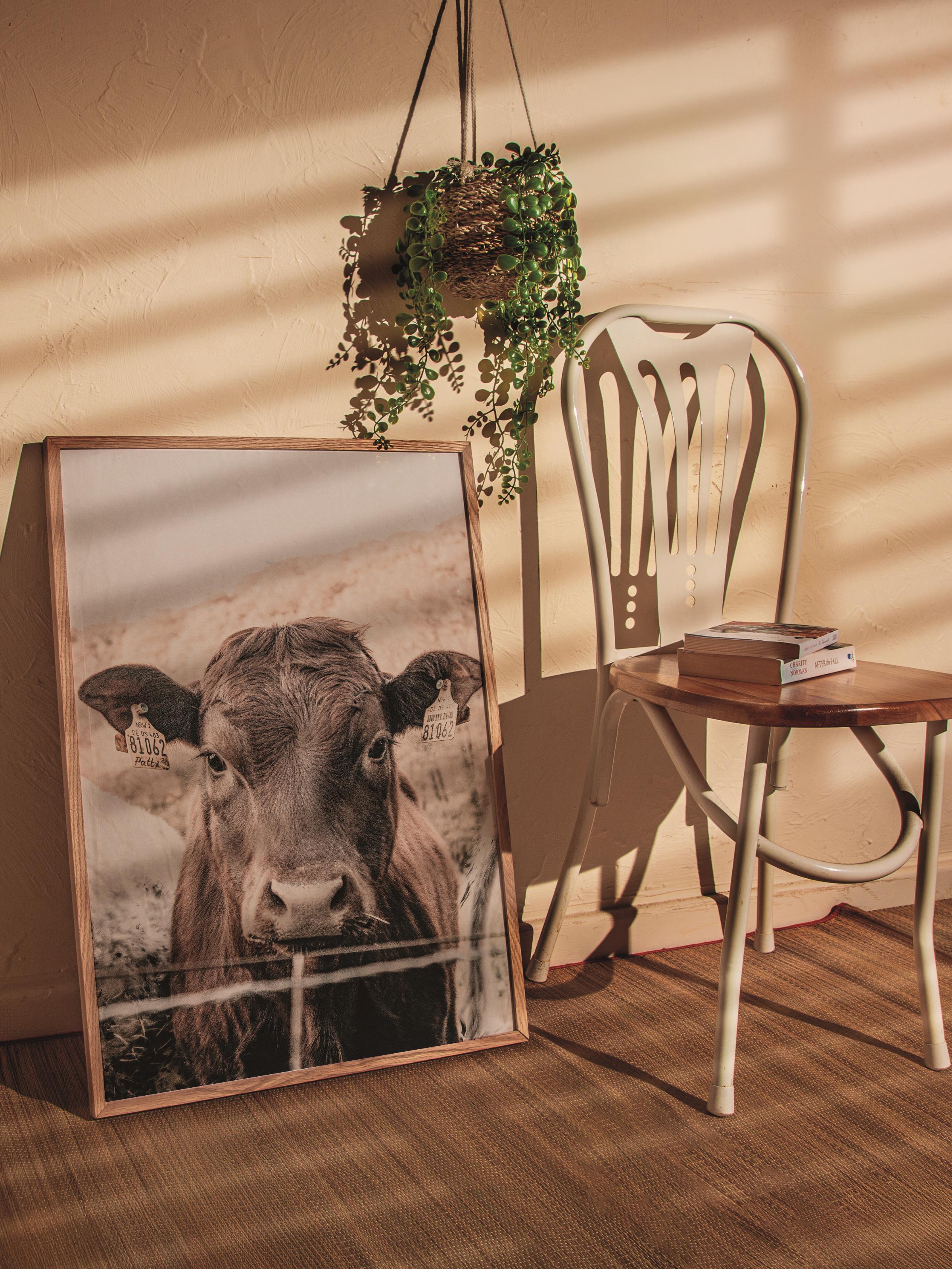 Rustic Çerçevesiz Poster, İskandinav Beyaz Poster, NO:368 İnek Fotoğraf, Dikey