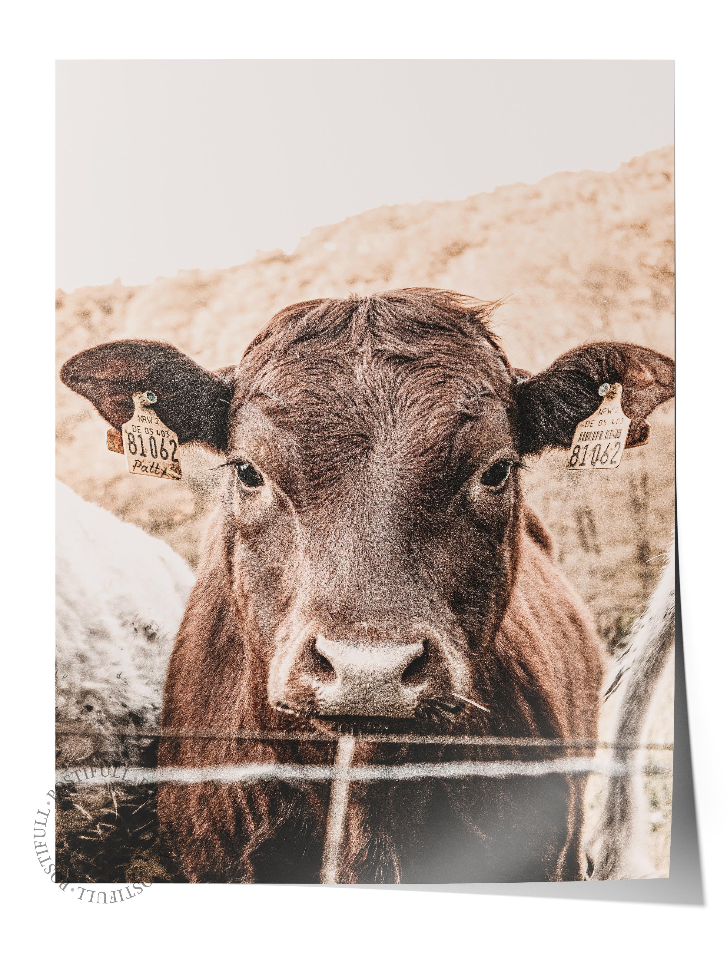 Rustic Çerçevesiz Poster, İskandinav Beyaz Poster, NO:368 İnek Fotoğraf, Dikey