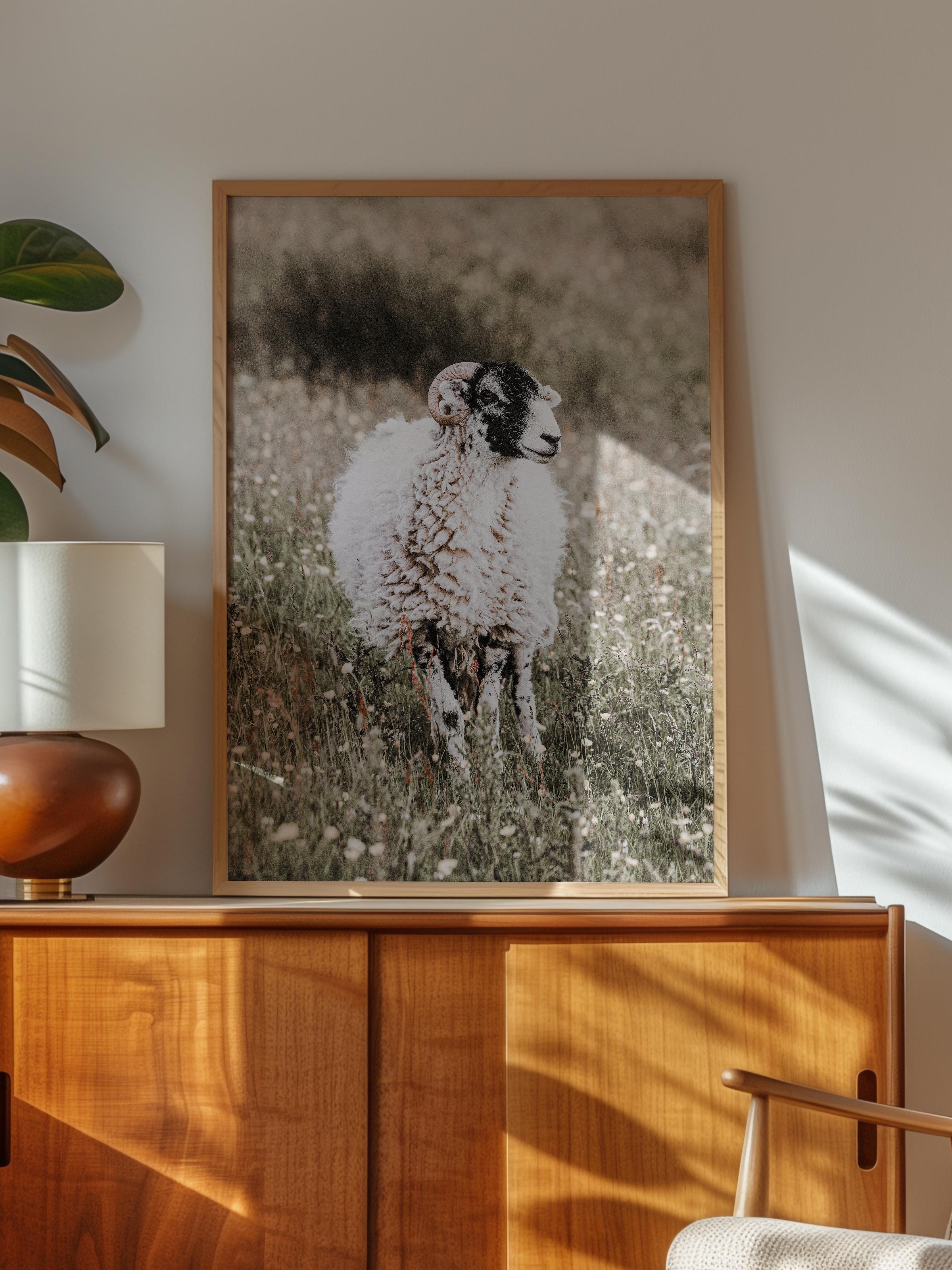 Rustic Çerçevesiz Poster, İskandinav Beyaz Poster, NO:374 Koyun Fotoğraf, Dikey