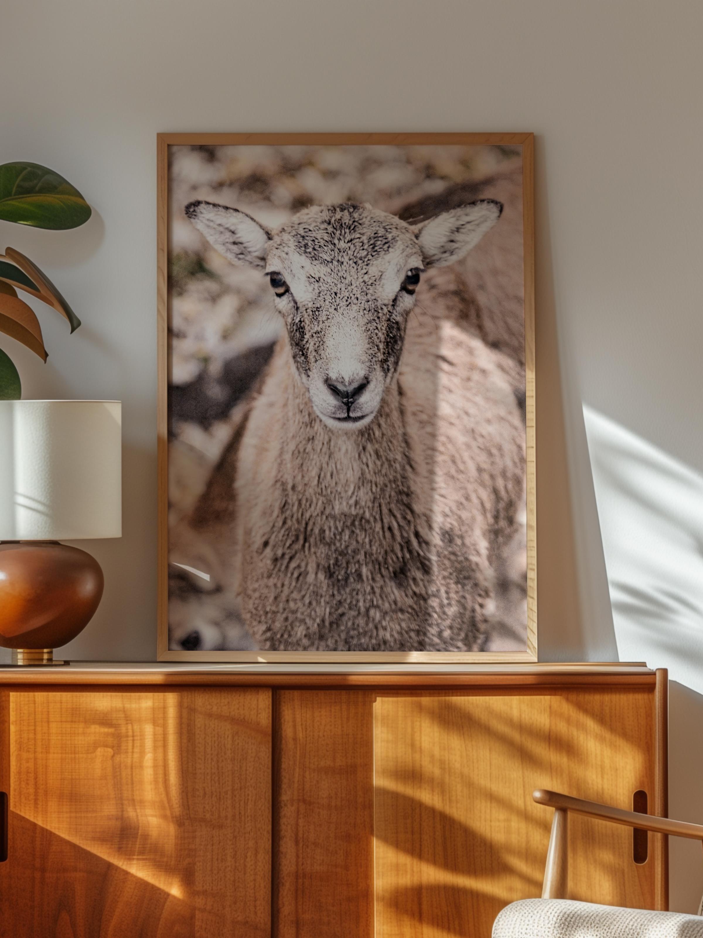 Rustic Çerçevesiz Poster, İskandinav Beyaz Poster, NO:377 Koyun Fotoğraf, Dikey