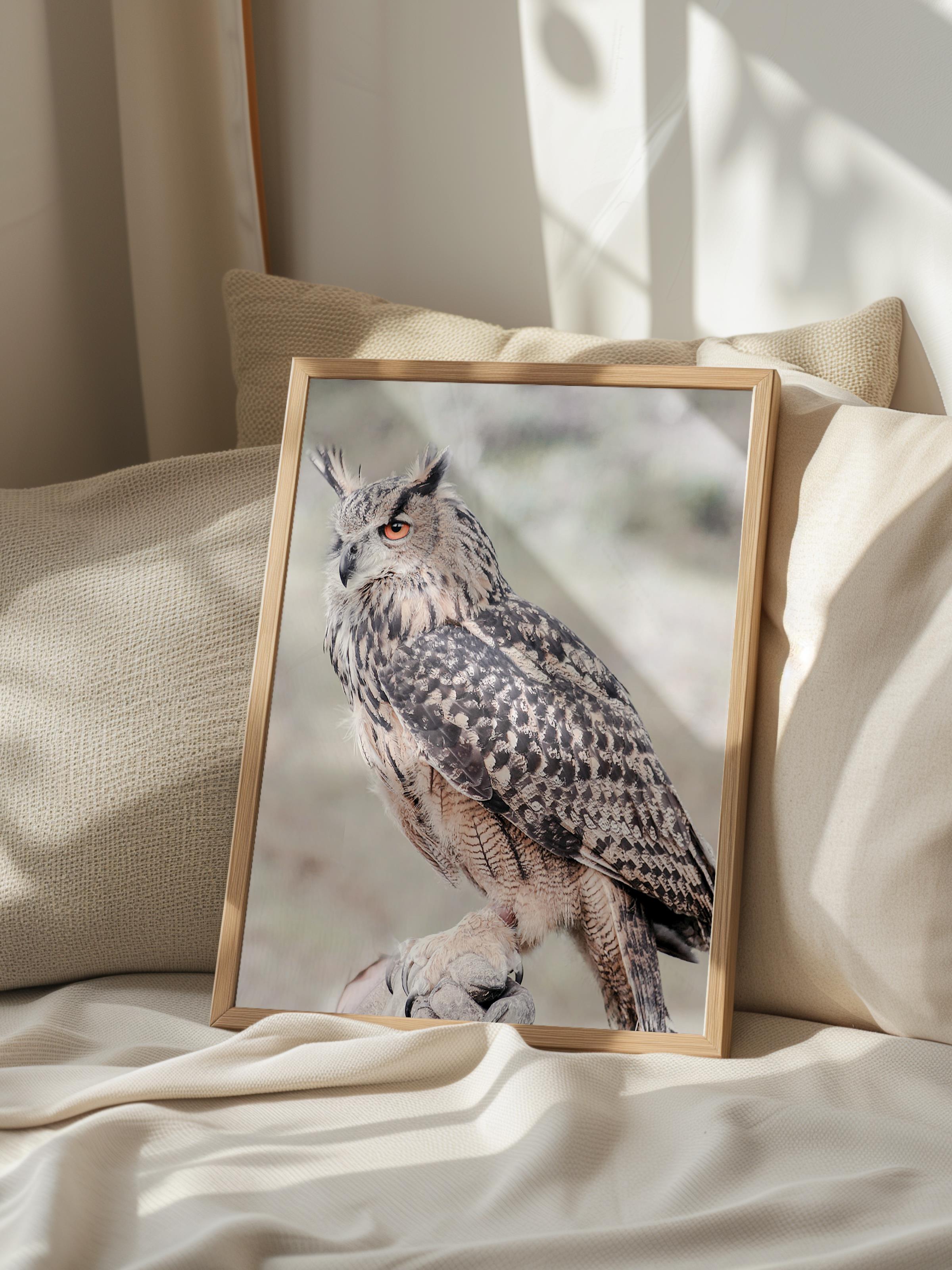 Rustic Çerçevesiz Poster, İskandinav Beyaz Poster, NO:381 Baykuş Fotoğraf, Dikey