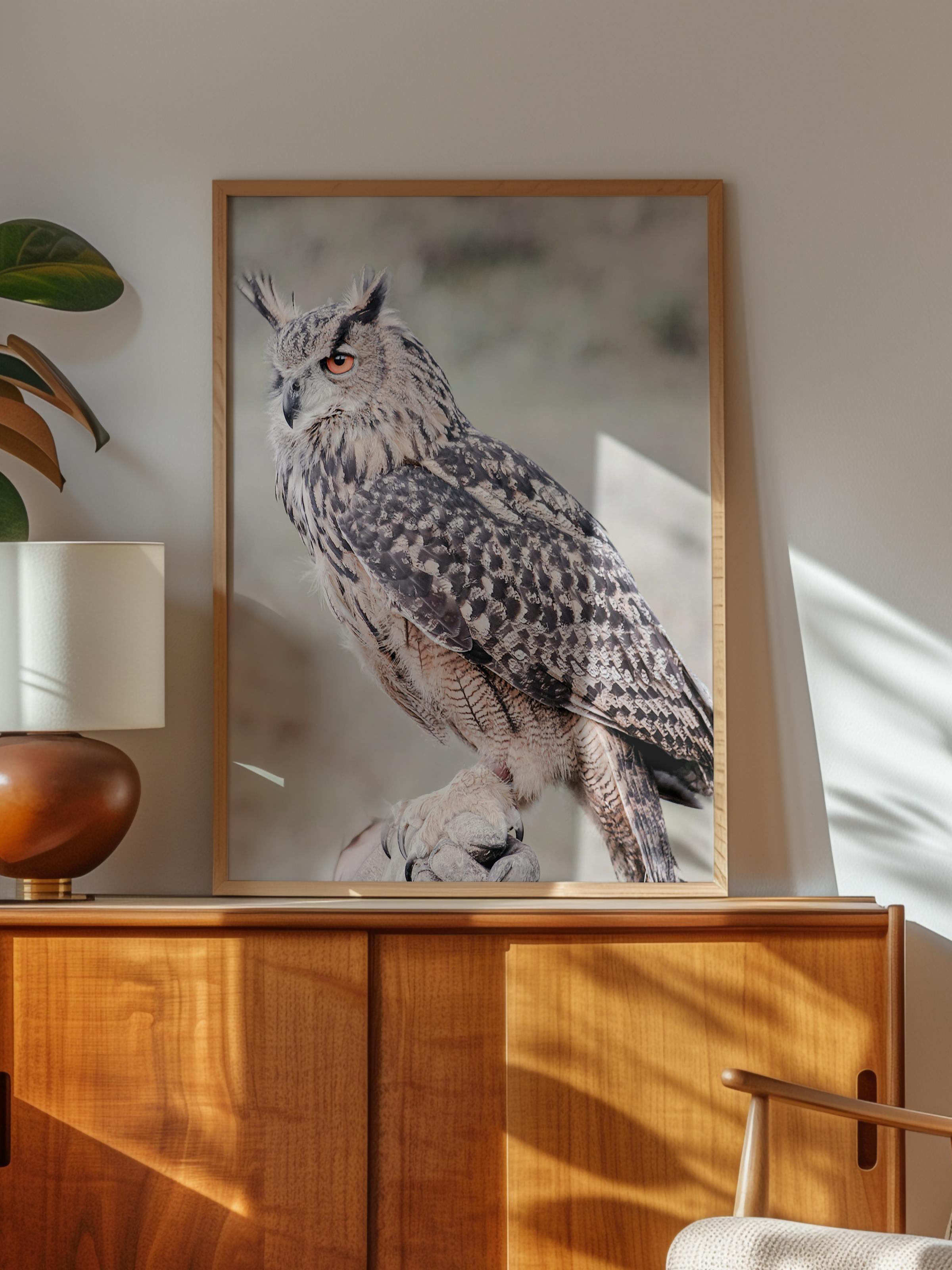 Rustic Çerçevesiz Poster, İskandinav Beyaz Poster, NO:381 Baykuş Fotoğraf, Dikey