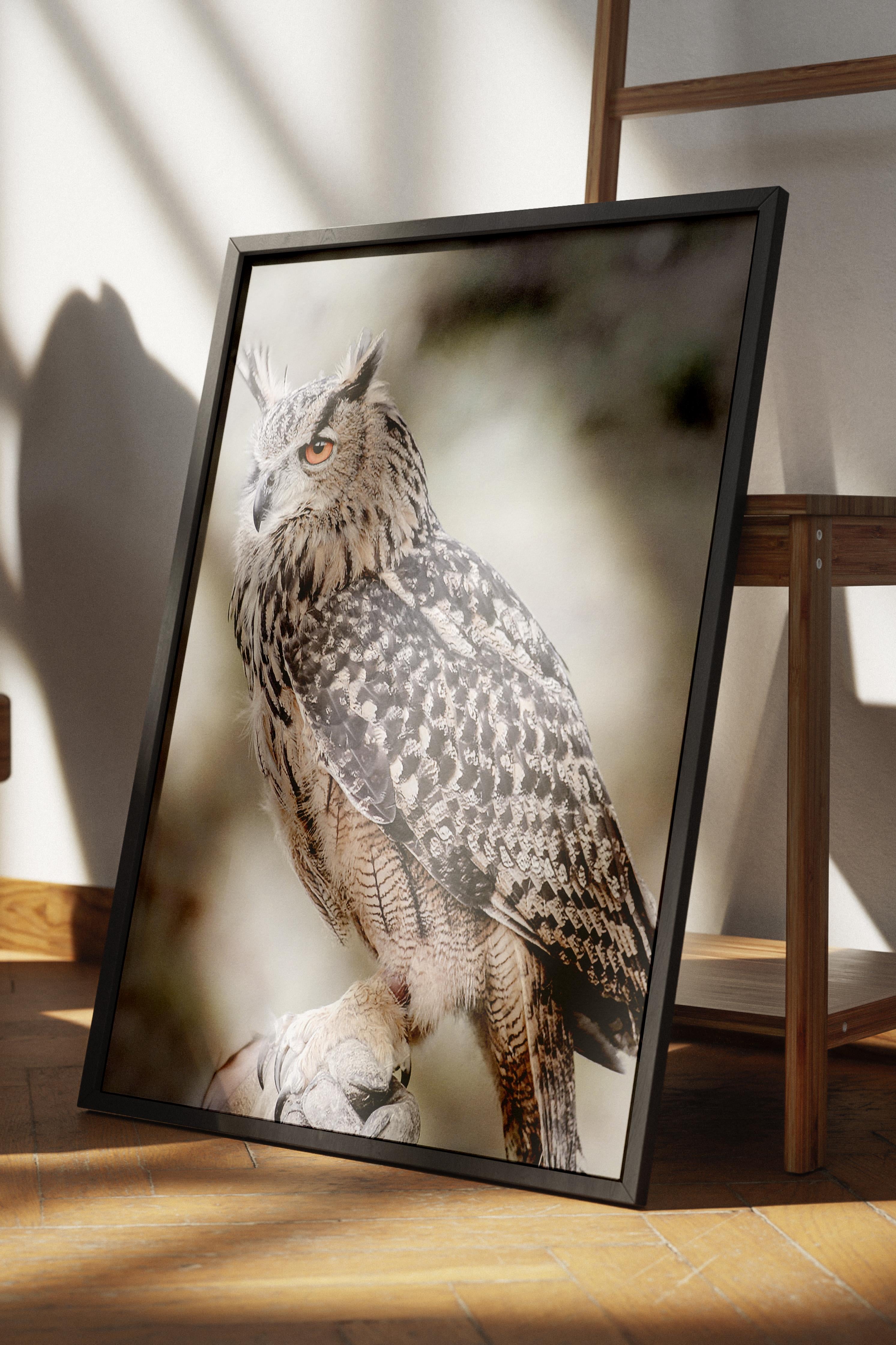 Rustic Çerçevesiz Poster, İskandinav Beyaz Poster, NO:381 Baykuş Fotoğraf, Dikey