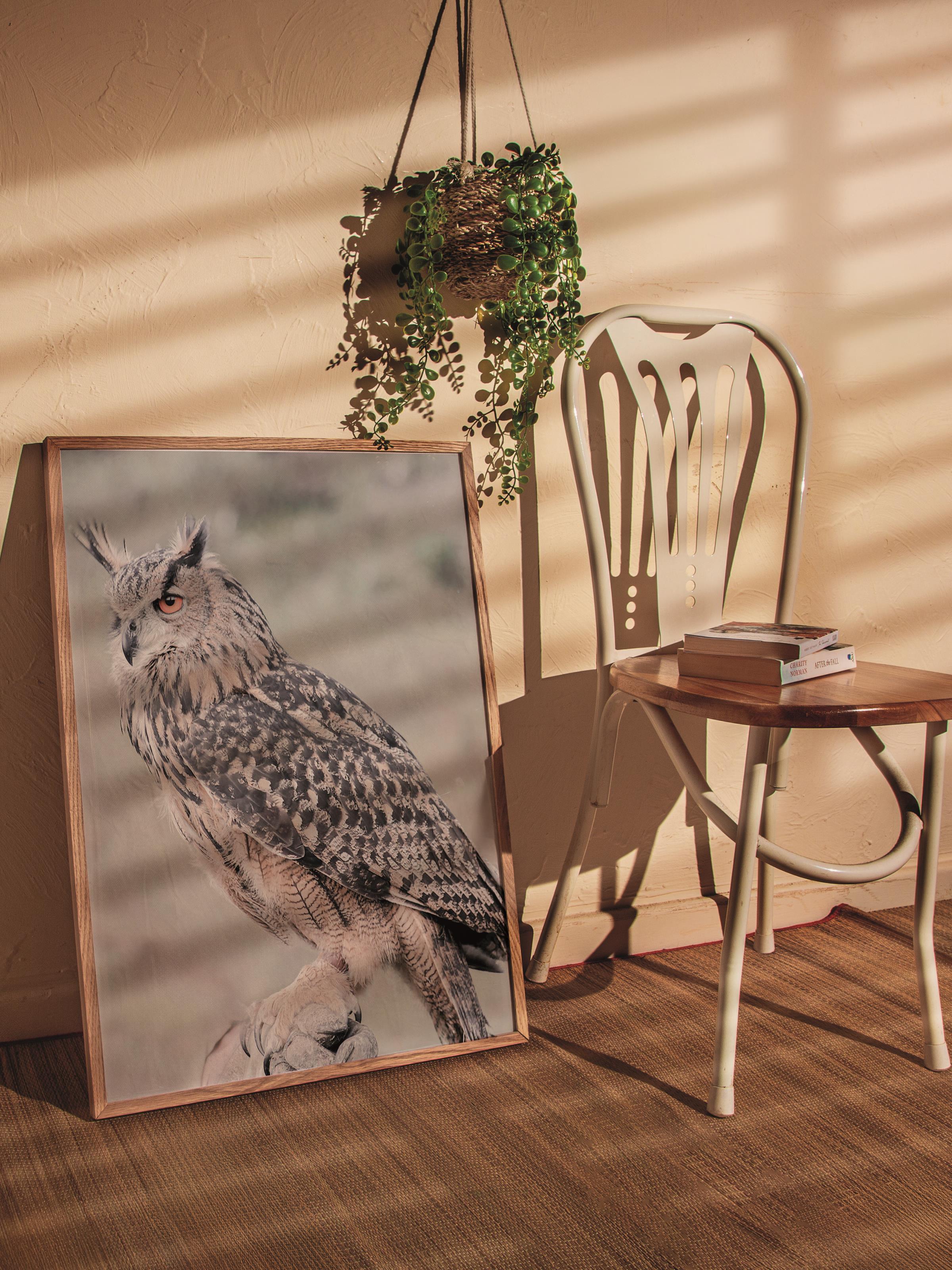 Rustic Çerçevesiz Poster, İskandinav Beyaz Poster, NO:381 Baykuş Fotoğraf, Dikey