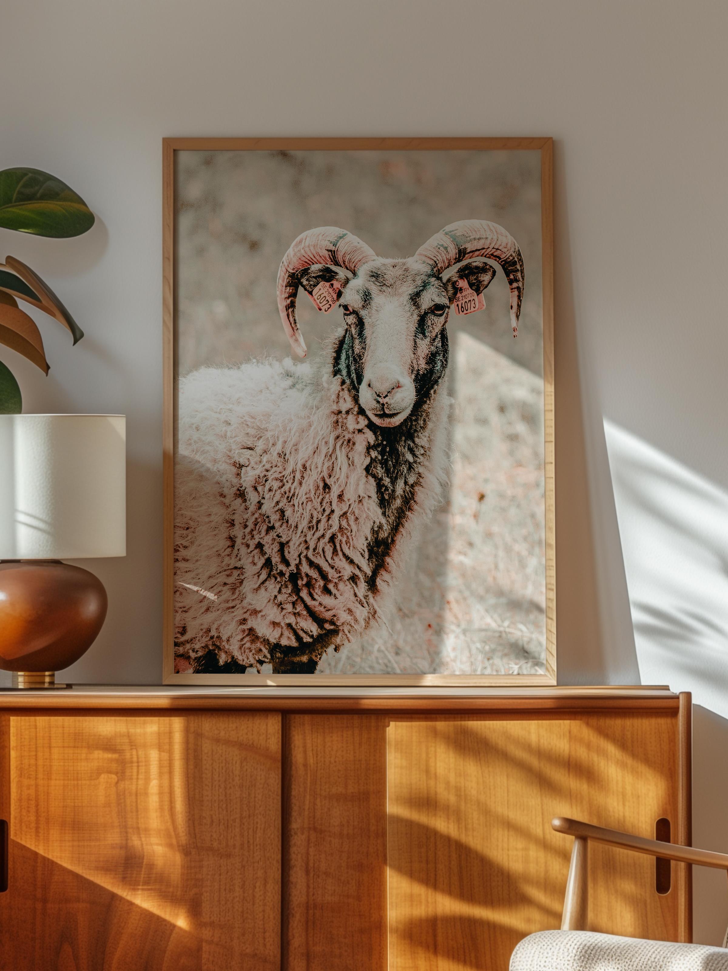 Rustic Çerçevesiz Poster, İskandinav Beyaz Poster, NO:385 Koyun Fotoğraf, Dikey