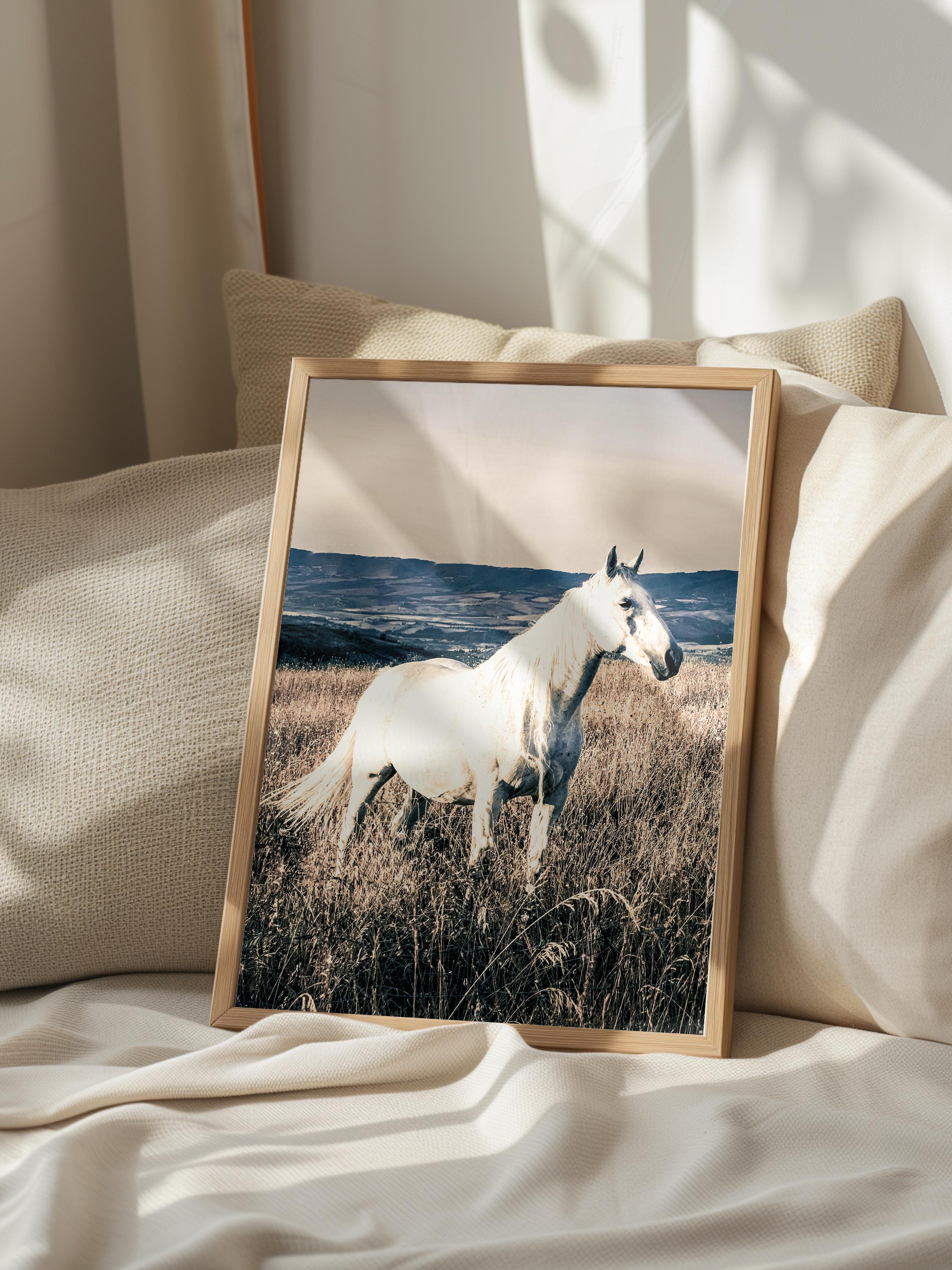 Rustic Çerçevesiz Poster, İskandinav Beyaz Poster, NO:387 Beyaz At Fotoğraf, Dikey