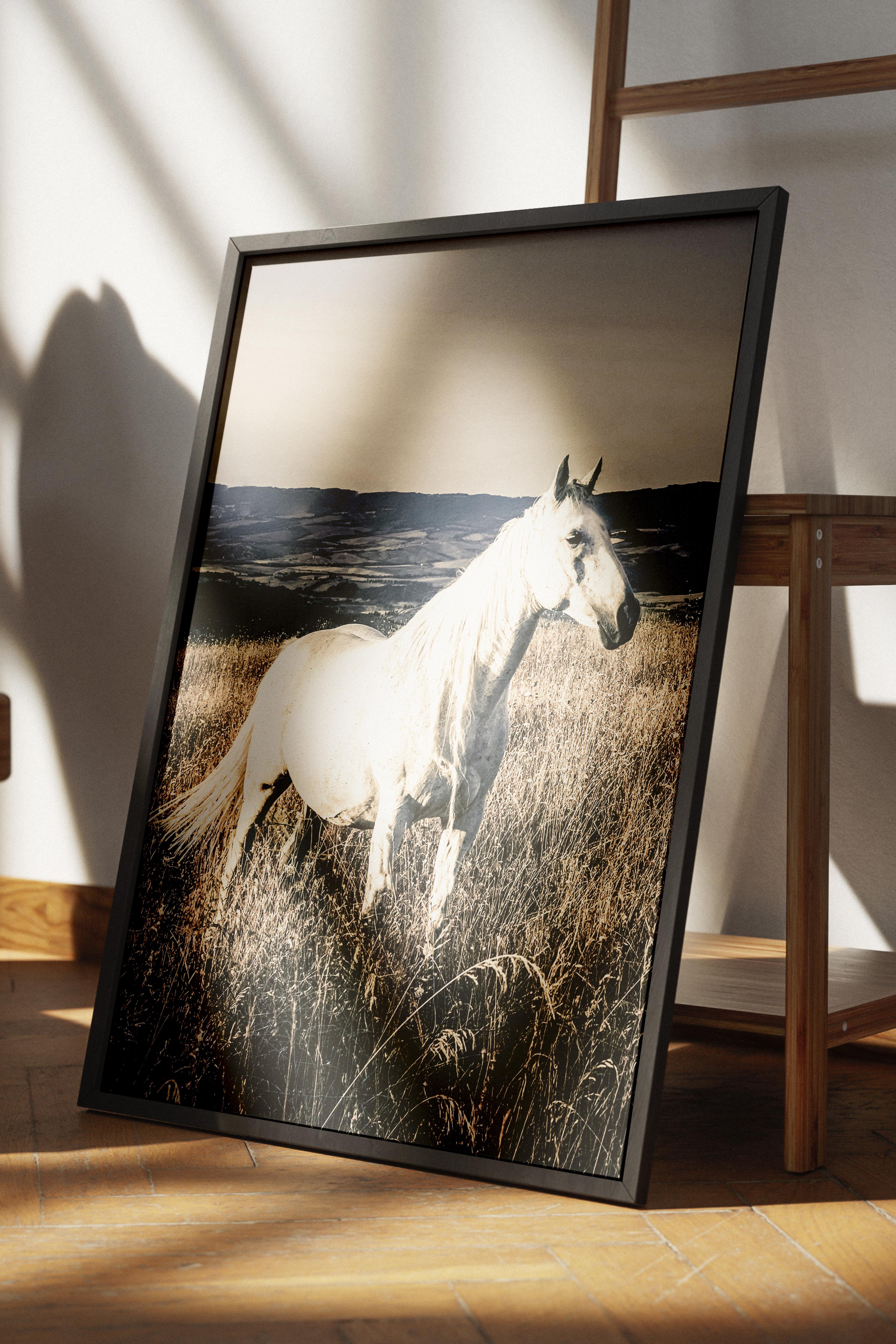 Rustic Çerçevesiz Poster, İskandinav Beyaz Poster, NO:387 Beyaz At Fotoğraf, Dikey