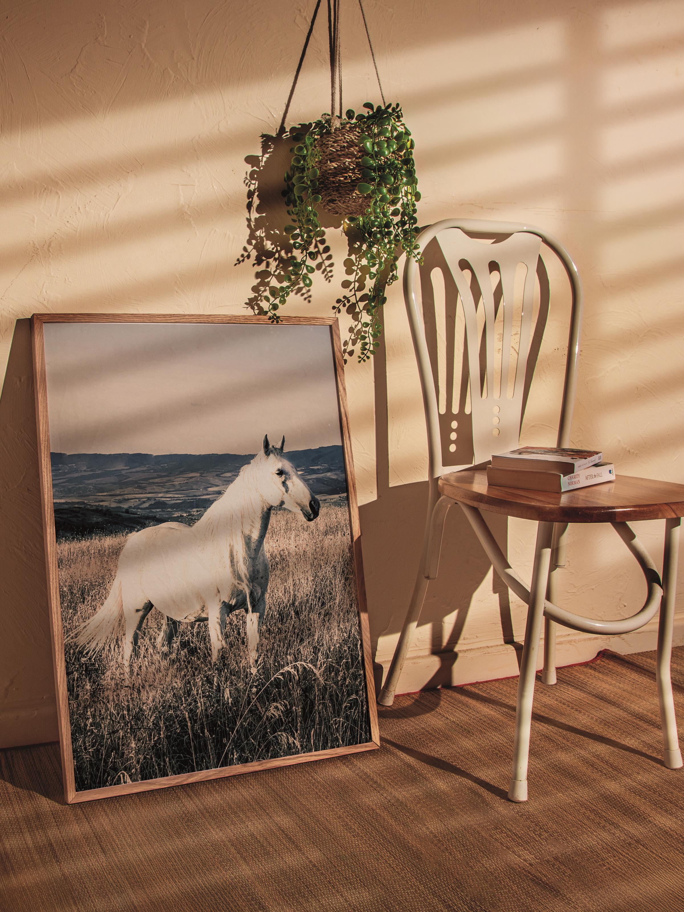 Rustic Çerçevesiz Poster, İskandinav Beyaz Poster, NO:387 Beyaz At Fotoğraf, Dikey