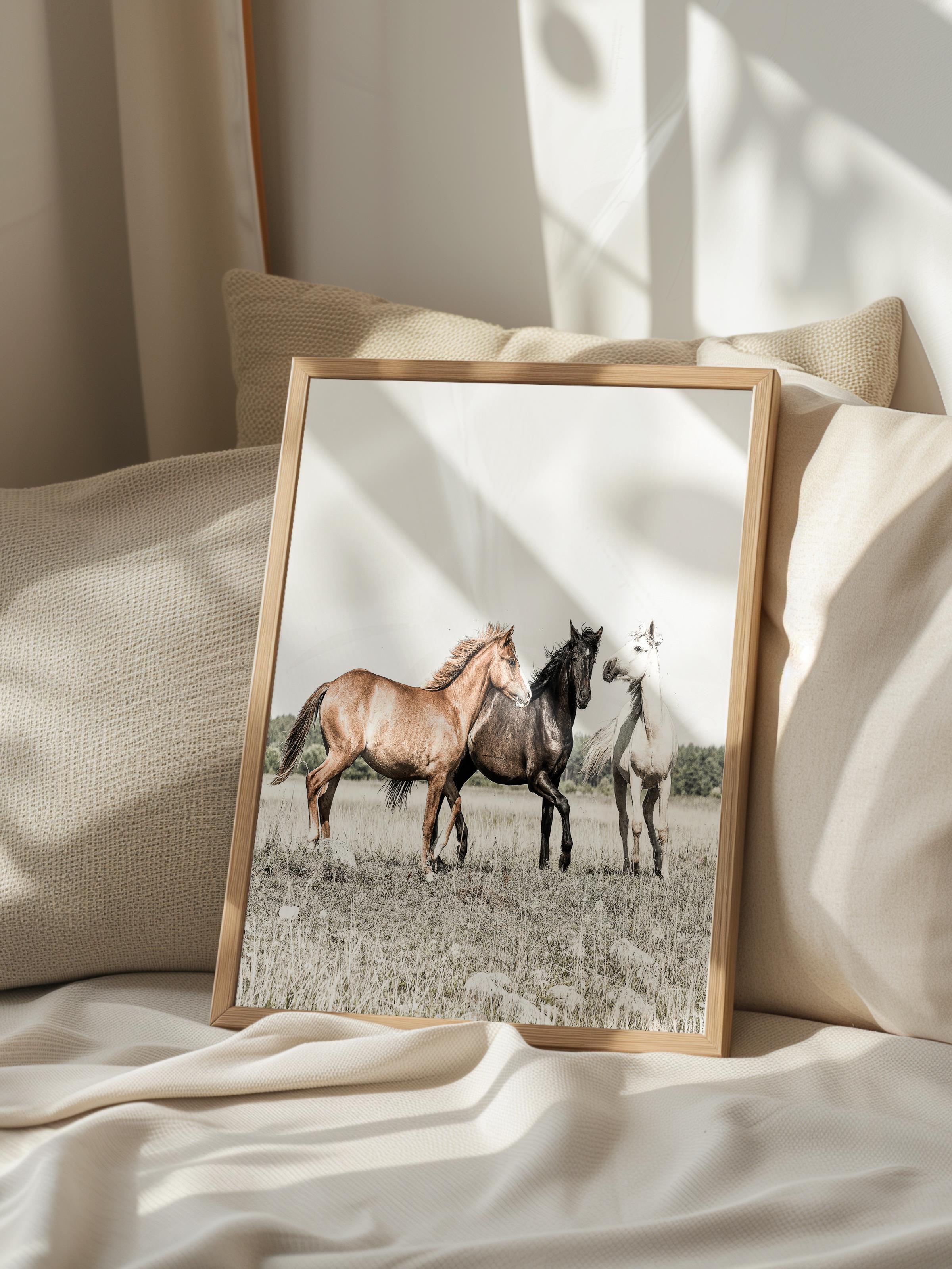 Rustic Çerçevesiz Poster, İskandinav Beyaz Poster, NO:392 Atlar Fotoğraf