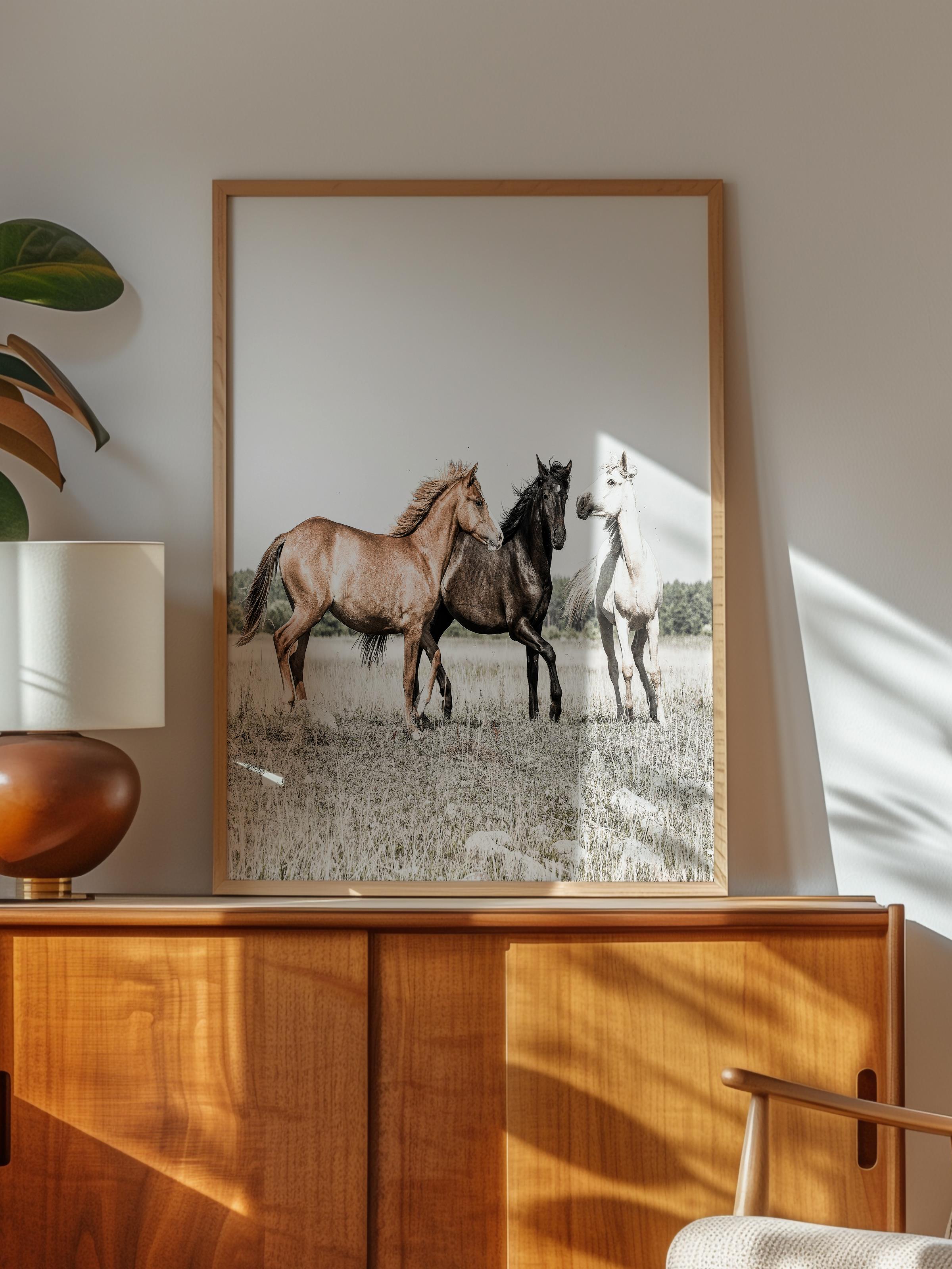 Rustic Çerçevesiz Poster, İskandinav Beyaz Poster, NO:392 Atlar Fotoğraf
