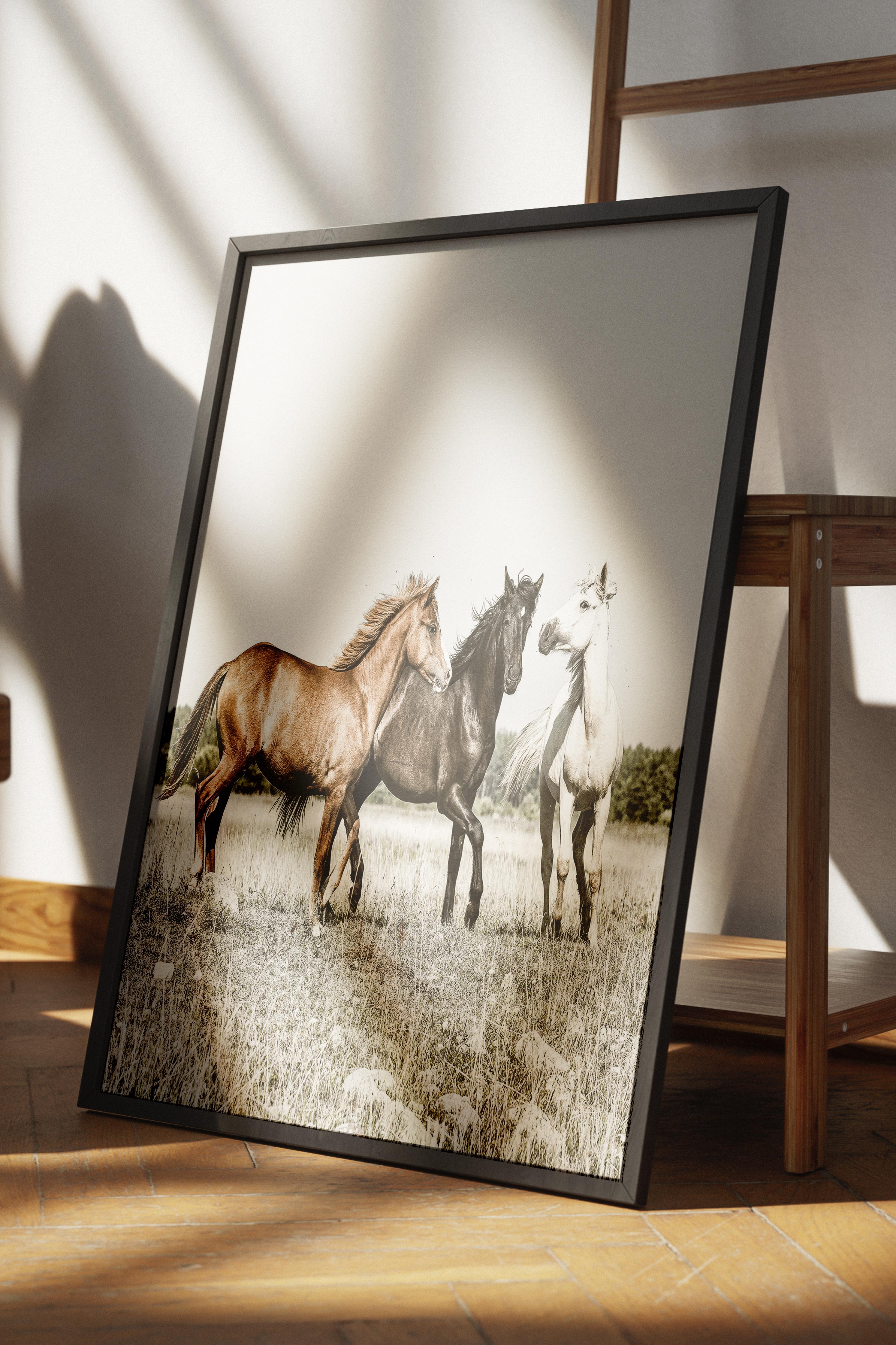 Rustic Çerçevesiz Poster, İskandinav Beyaz Poster, NO:392 Atlar Fotoğraf