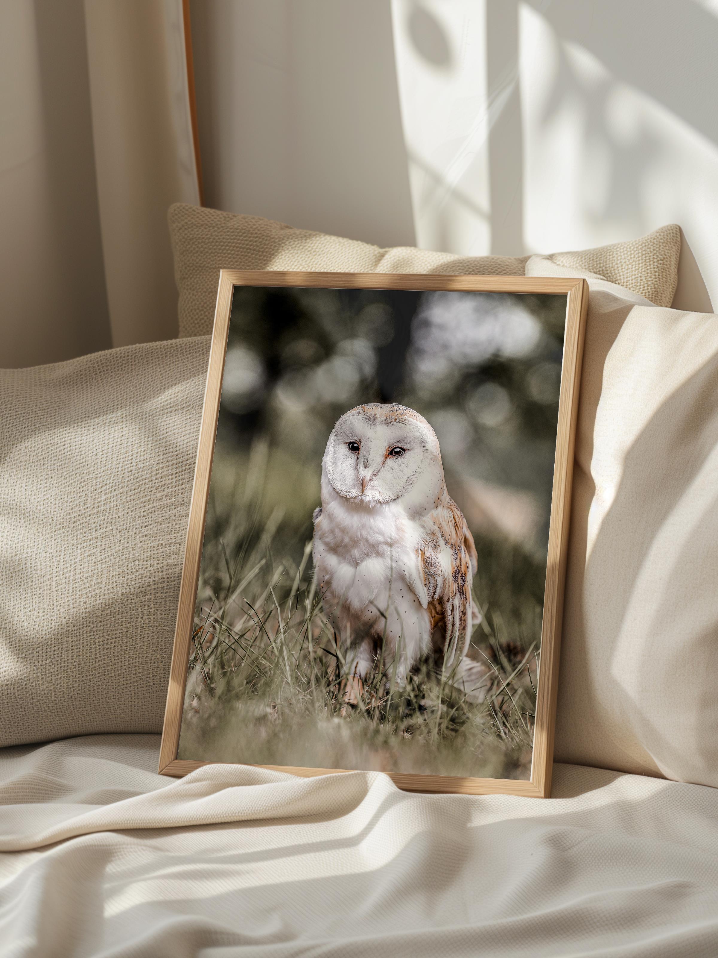 Rustic Çerçevesiz Poster, İskandinav Beyaz Poster, NO:393 Baykuş Fotoğraf