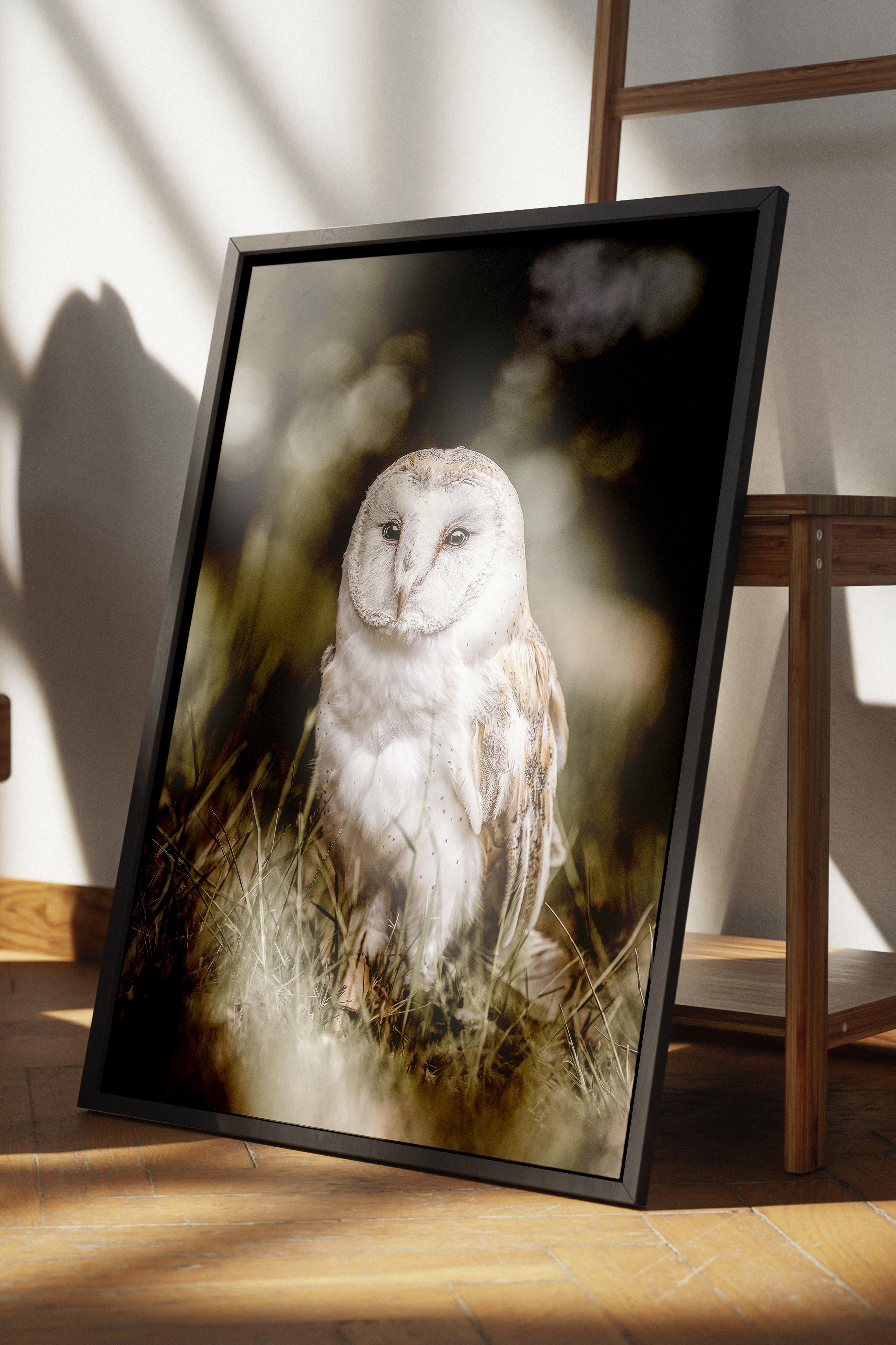 Rustic Çerçevesiz Poster, İskandinav Beyaz Poster, NO:393 Baykuş Fotoğraf