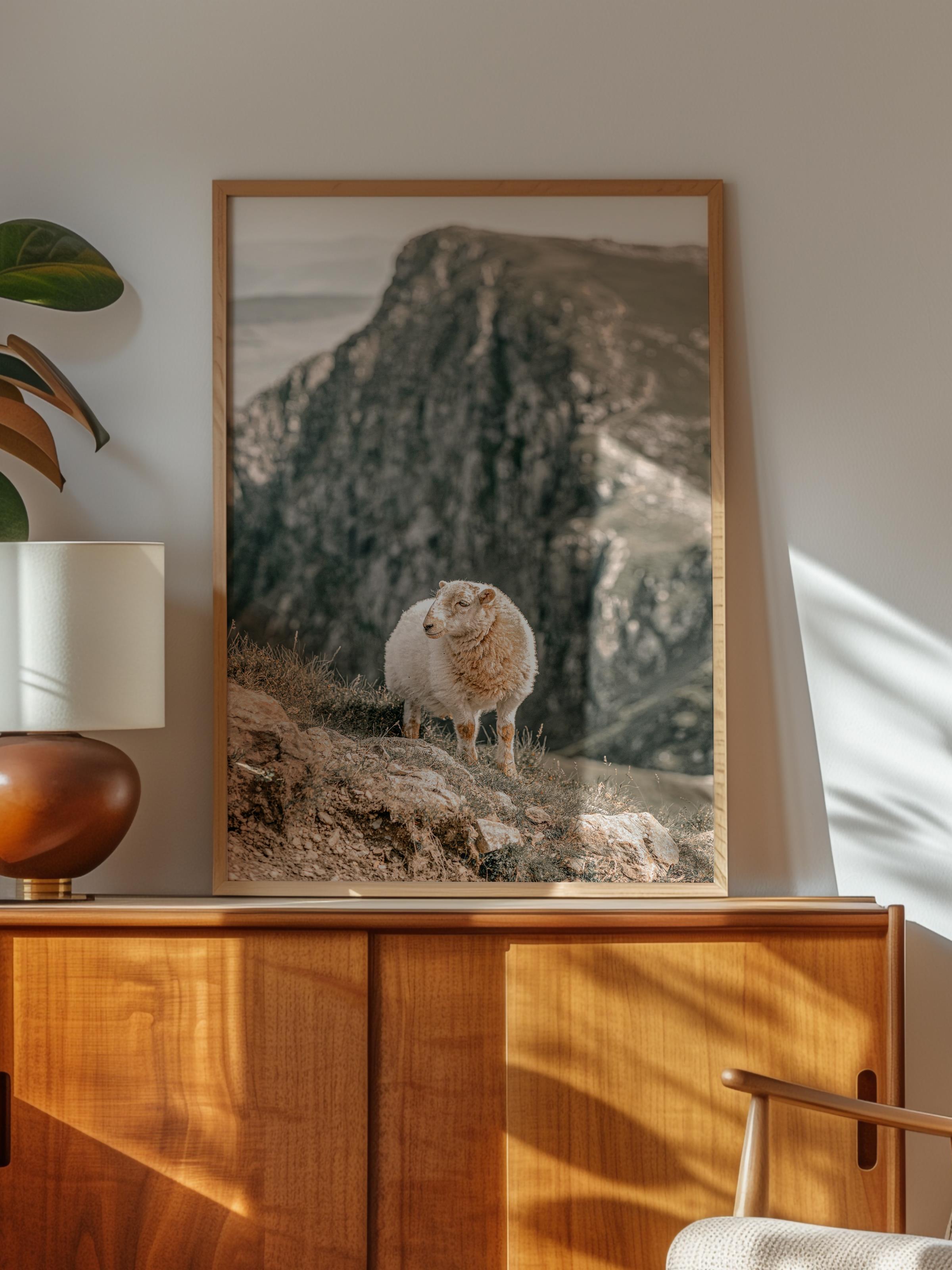 Rustic Çerçevesiz Poster, İskandinav Beyaz Poster, NO:395 Koyun Fotoğraf