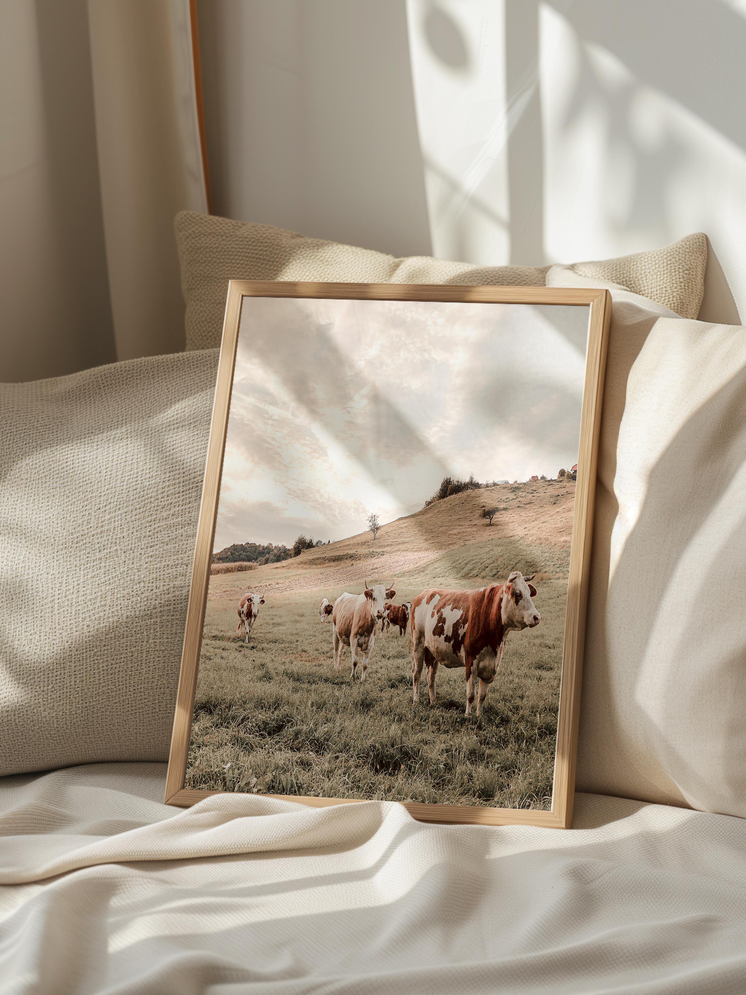Rustic Çerçevesiz Poster, İskandinav Beyaz Poster, NO:396 İnekler Fotoğraf