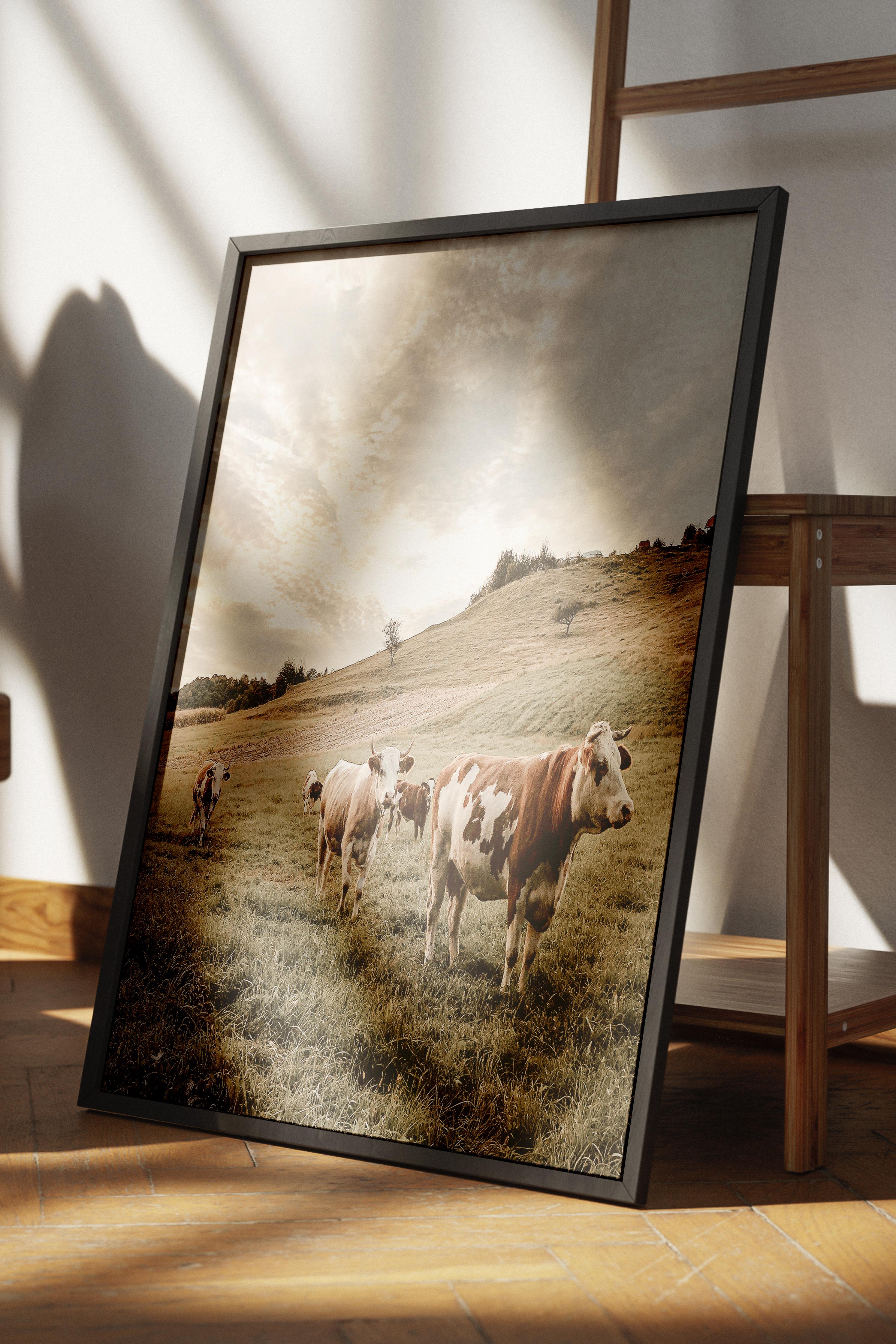 Rustic Çerçevesiz Poster, İskandinav Beyaz Poster, NO:396 İnekler Fotoğraf