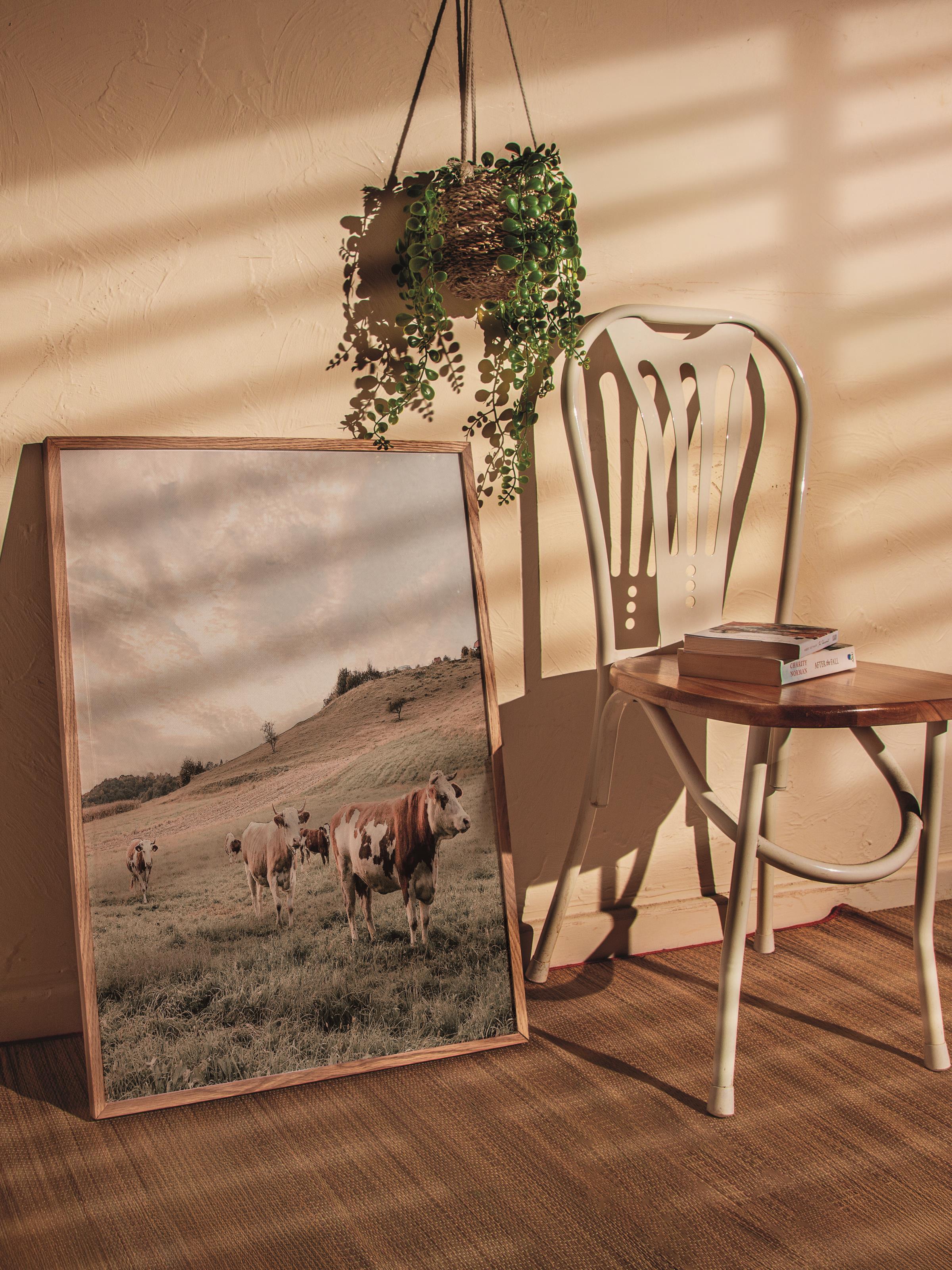 Rustic Çerçevesiz Poster, İskandinav Beyaz Poster, NO:396 İnekler Fotoğraf