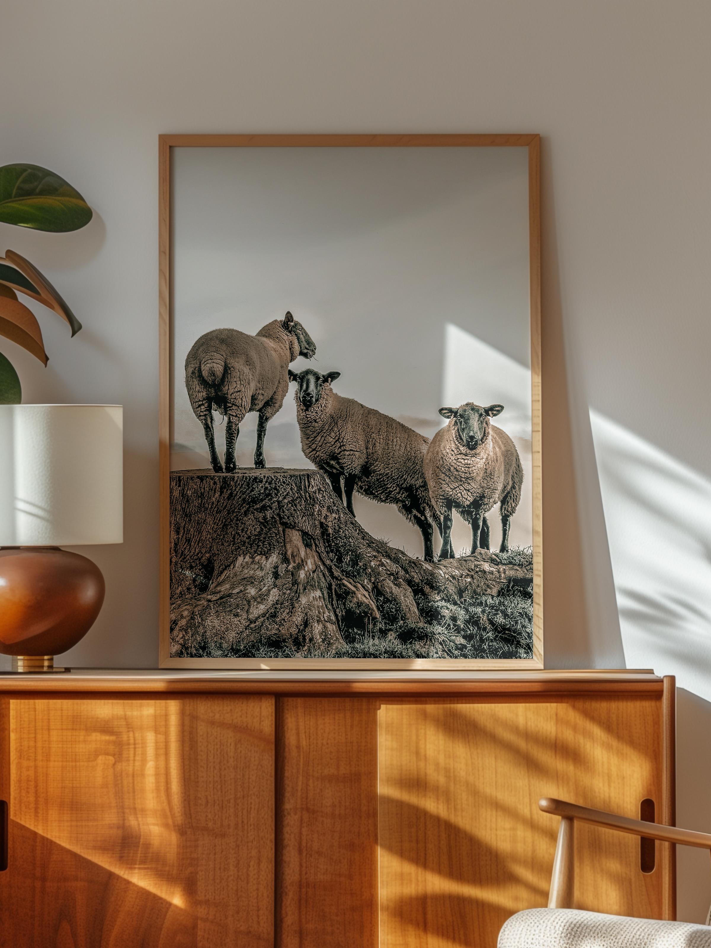 Rustic Çerçevesiz Poster, İskandinav Beyaz Poster, NO:399 Koyunlar Fotoğraf